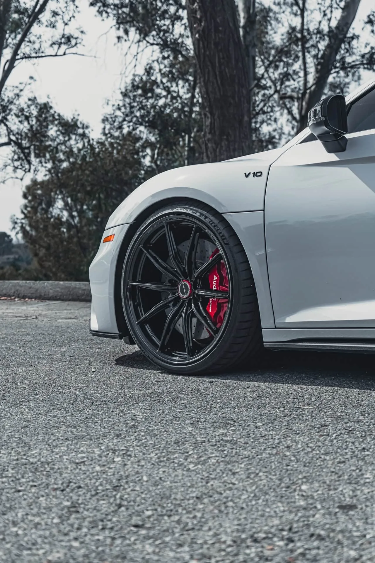 Brixton Forged FDE11 Ultrasport+ on Audi R8 Type 4S.1, photo 5