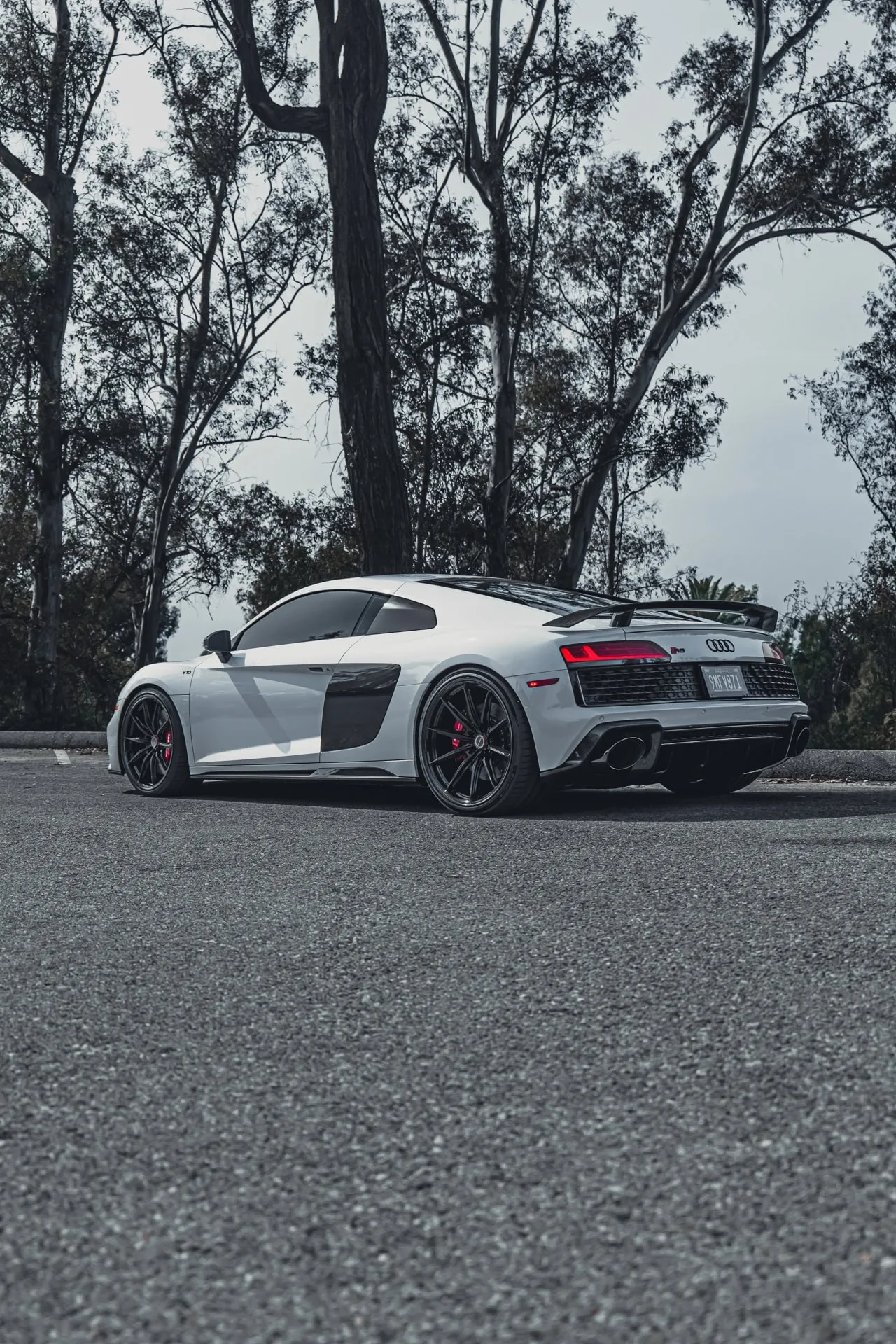 Brixton Forged FDE11 Ultrasport+ on Audi R8 Type 4S.1, photo 6