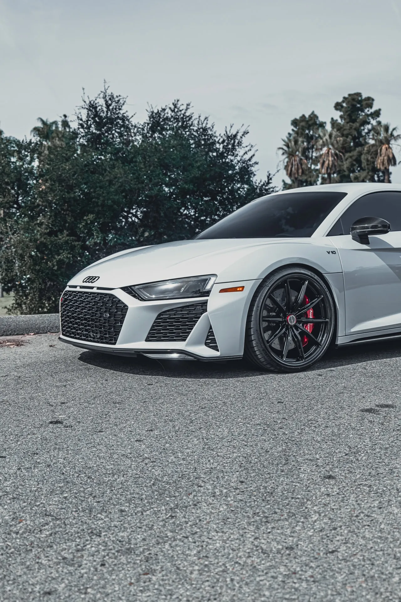 Brixton Forged FDE11 Ultrasport+ on Audi R8 Type 4S.1, photo 4