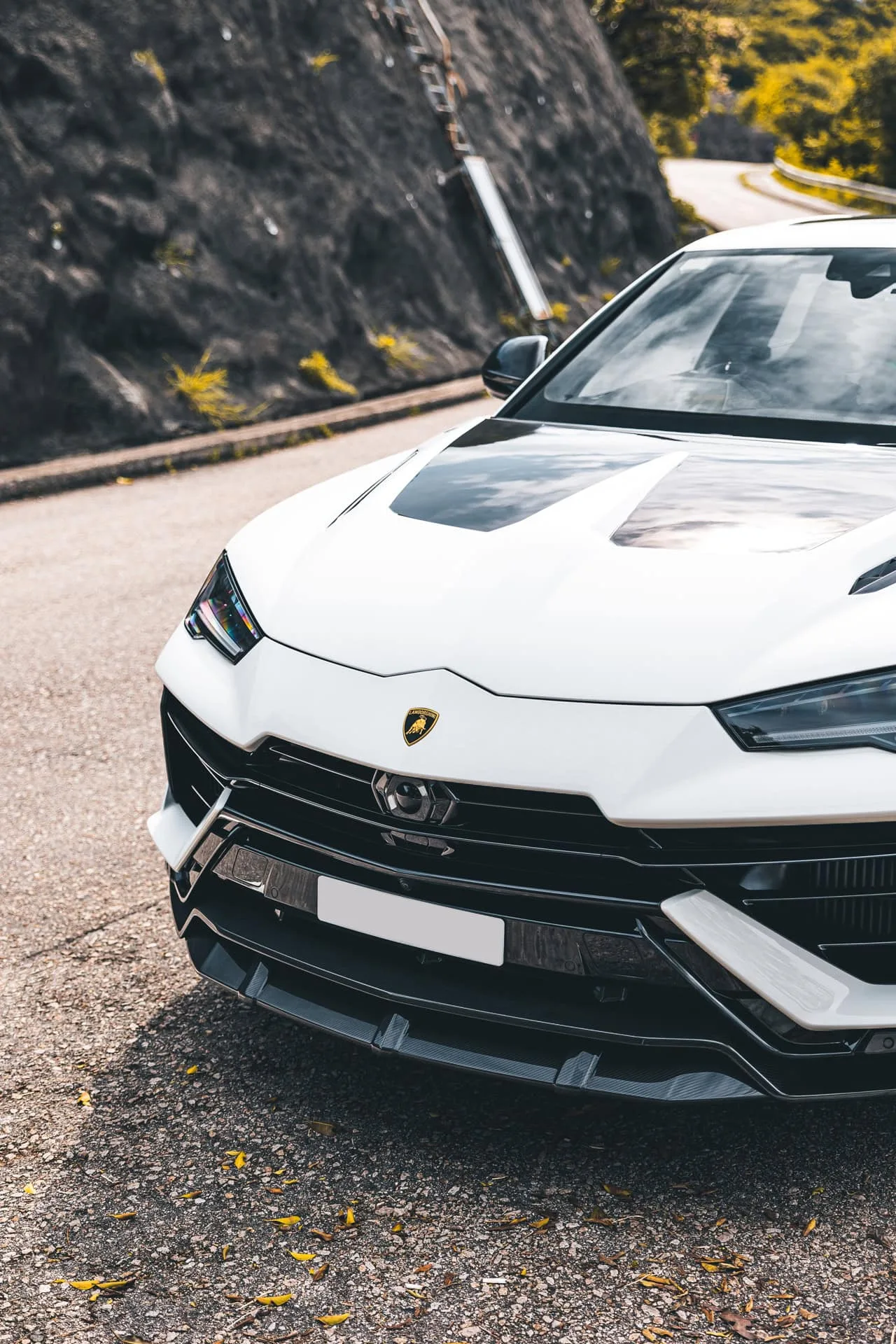 Brixton Forged MW03 Ultrasport+ on Lamborghini Urus (2018), photo 5