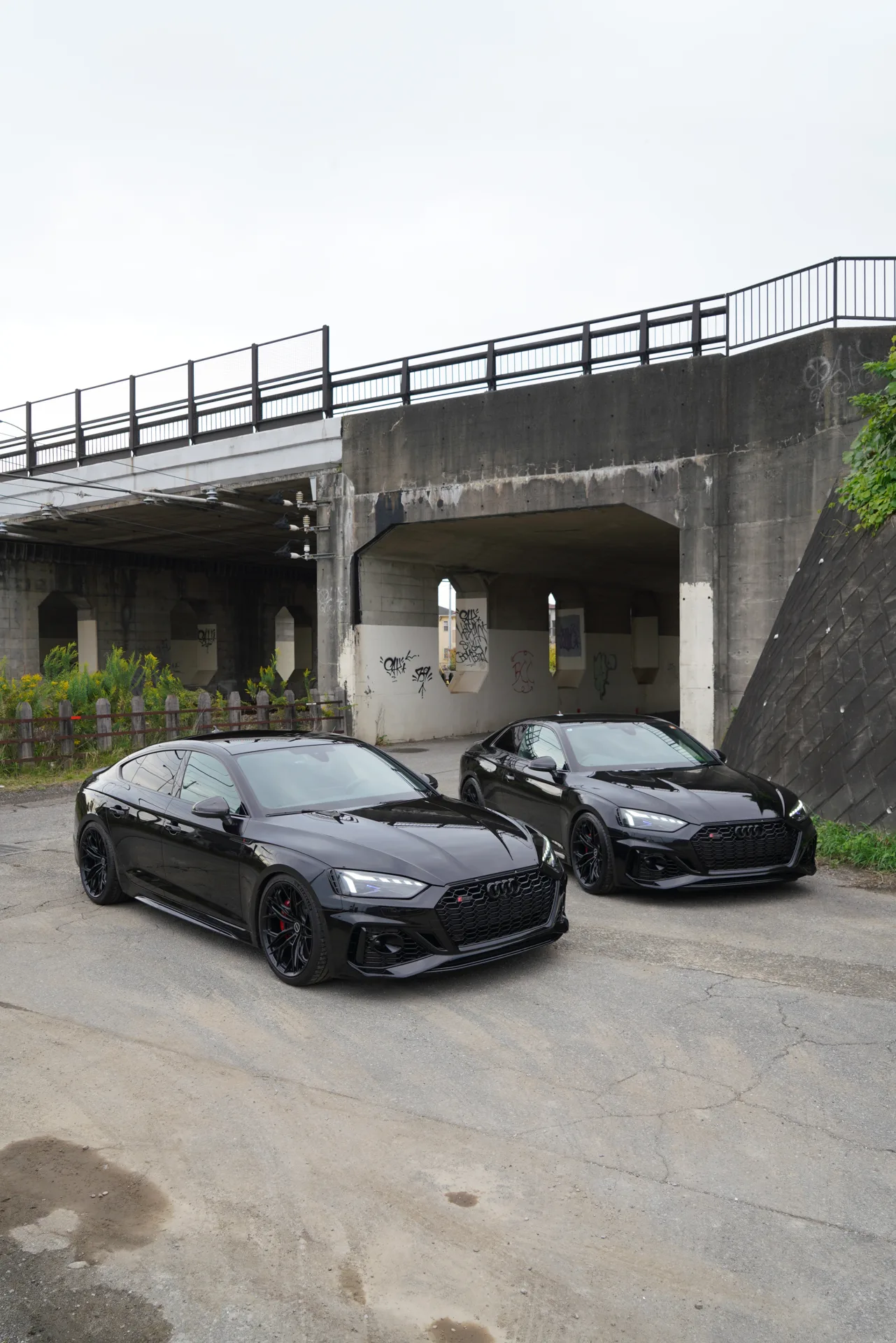 Brixton Forged PF14 R on Audi RS 5 F5.1, photo 3
