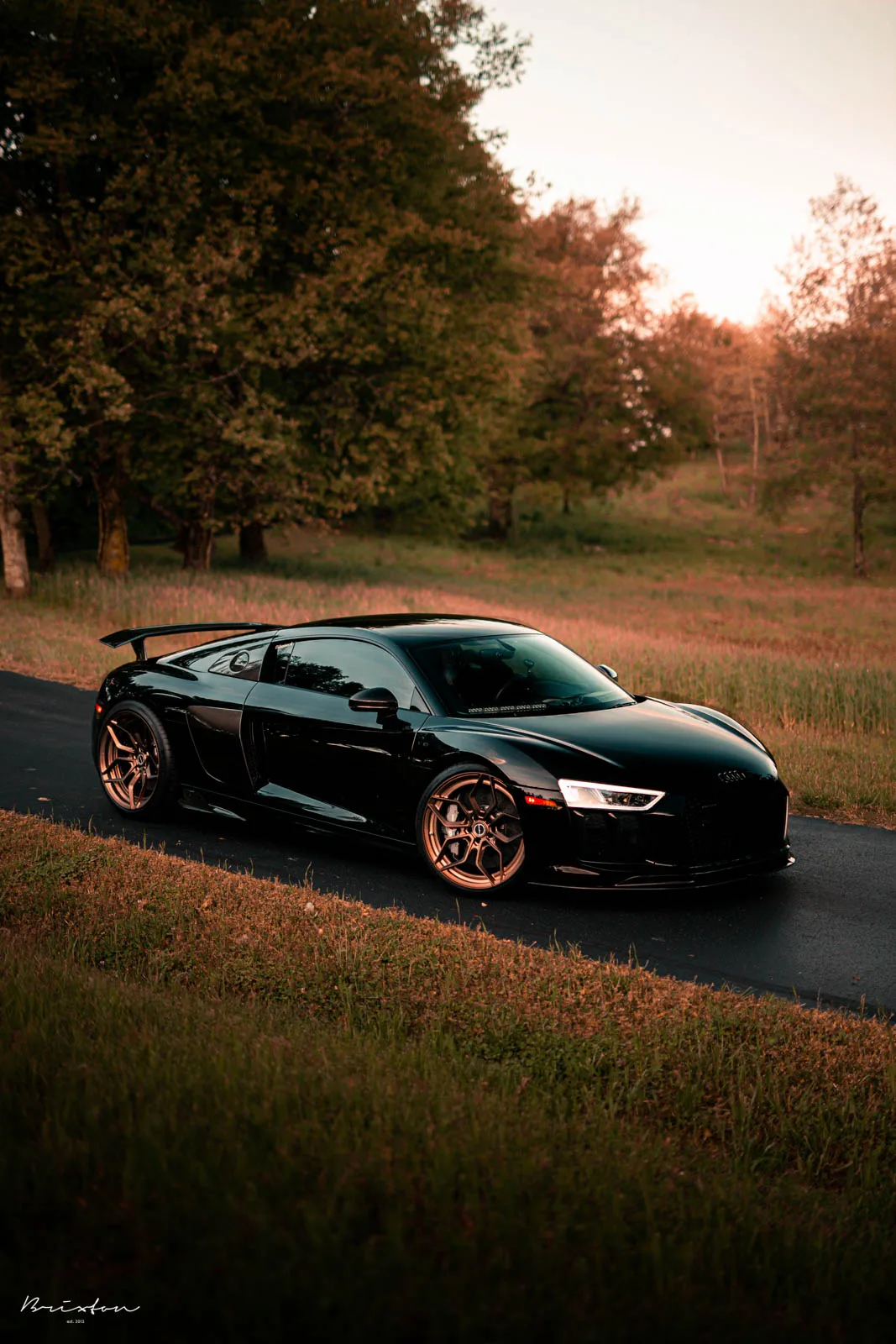 Brixton Forged PF9 Ultrasport+ on Audi R8 Type 4S.1, photo 10