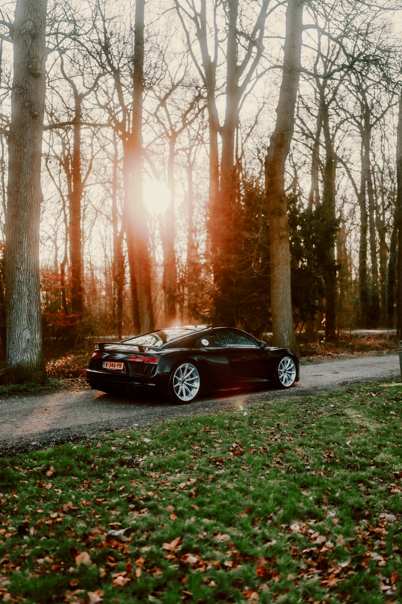 Brixton Forged R11-R on Audi R8 Type 4S.1, photo 2