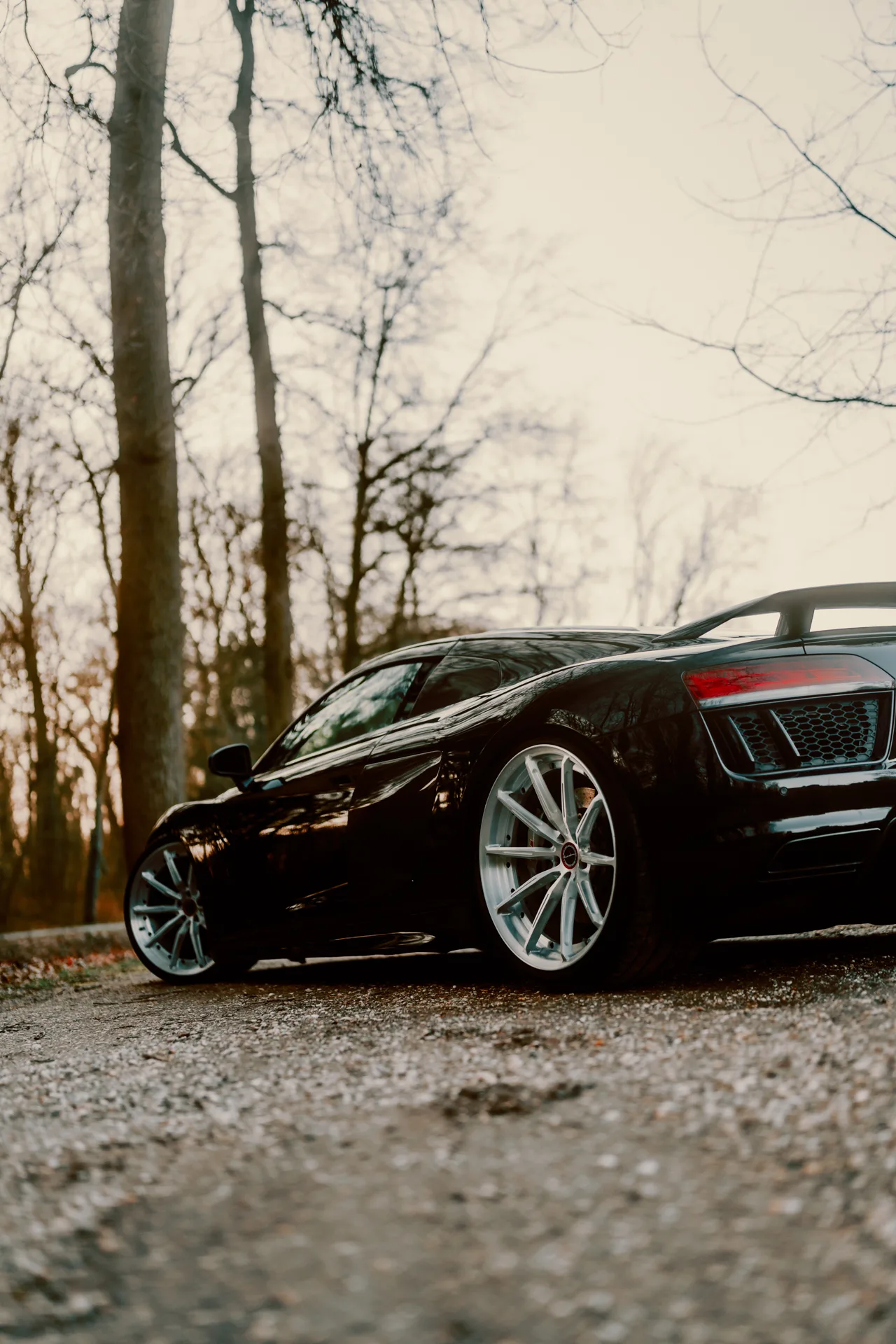 Brixton Forged R11-R on Audi R8 Type 4S.1, photo 9
