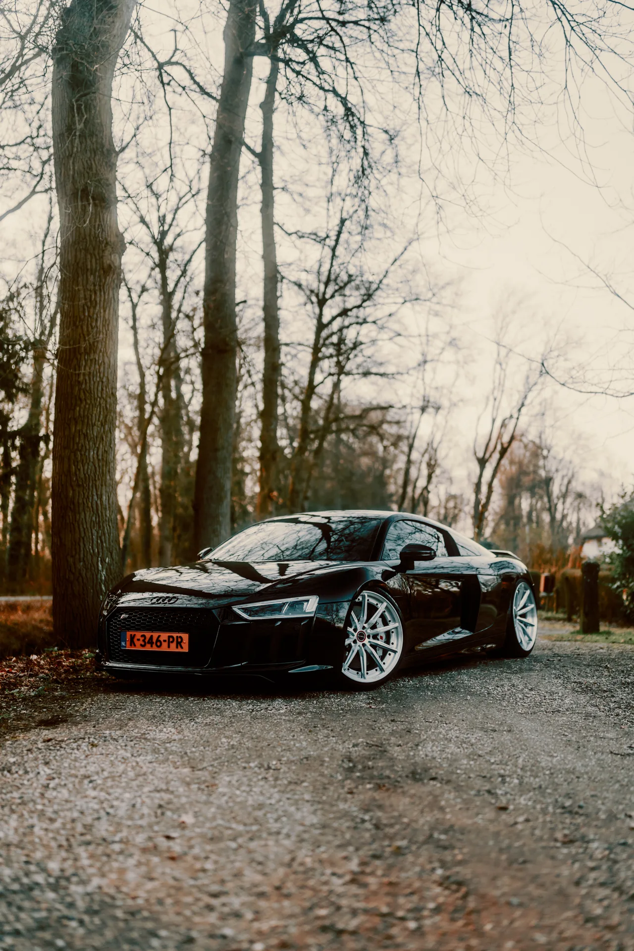 Brixton Forged R11-R on Audi R8 Type 4S.1, photo 8