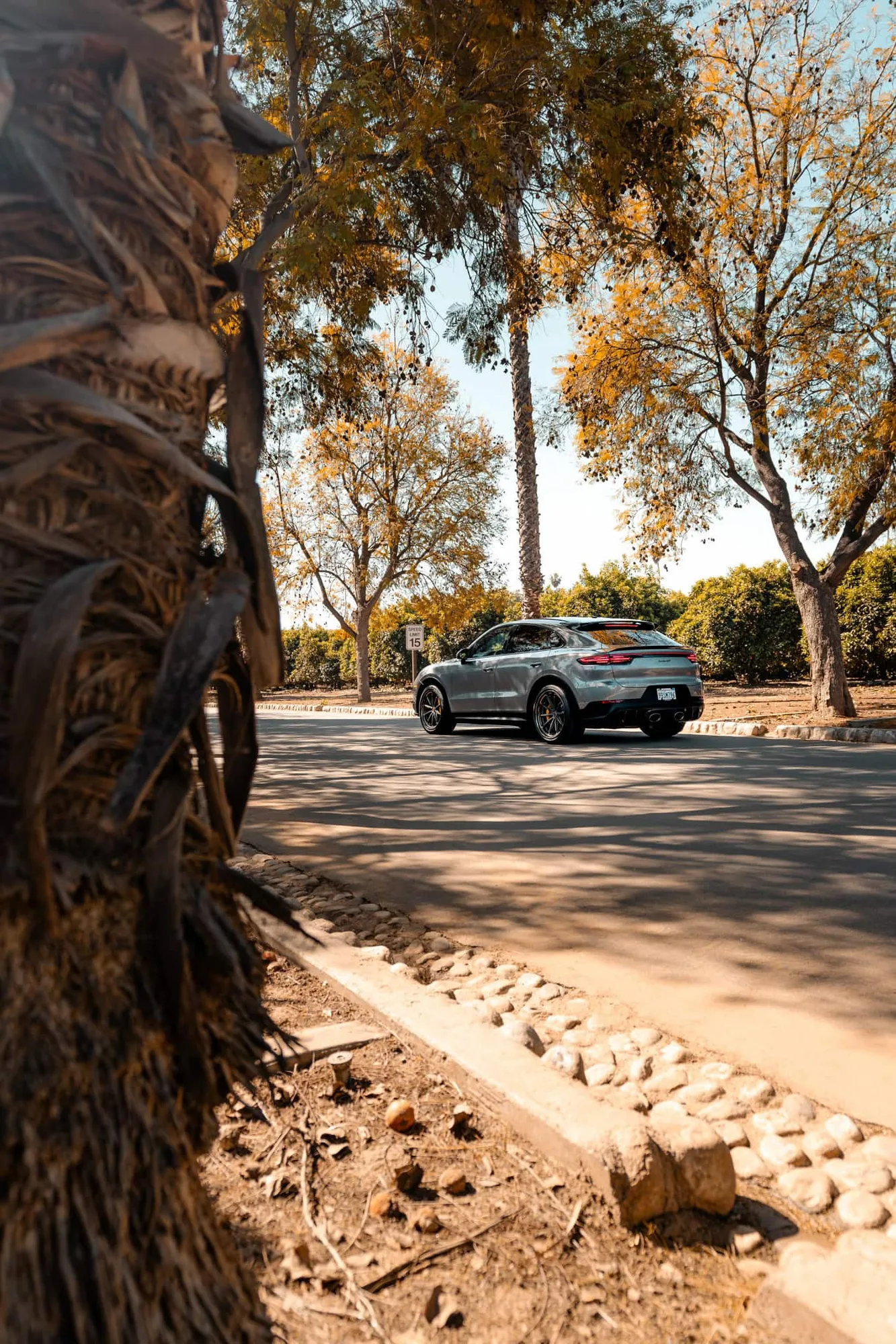 Brixton Forged R11-RS Targa on Porsche Cayenne 9YA/E3.1, photo 7