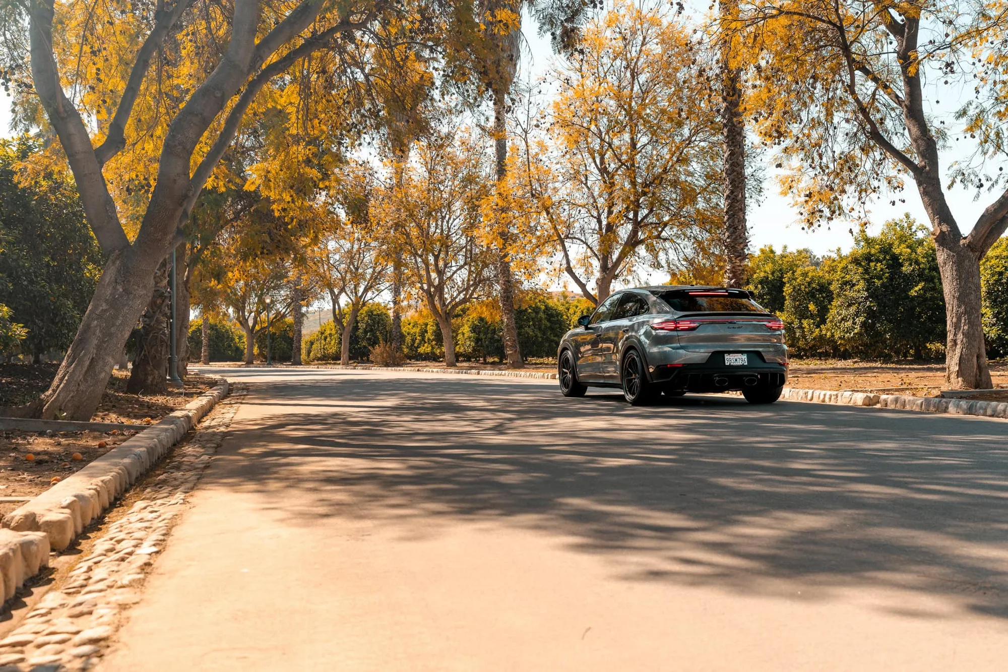 Brixton Forged R11-RS Targa on Porsche Cayenne 9YA/E3.1, photo 3