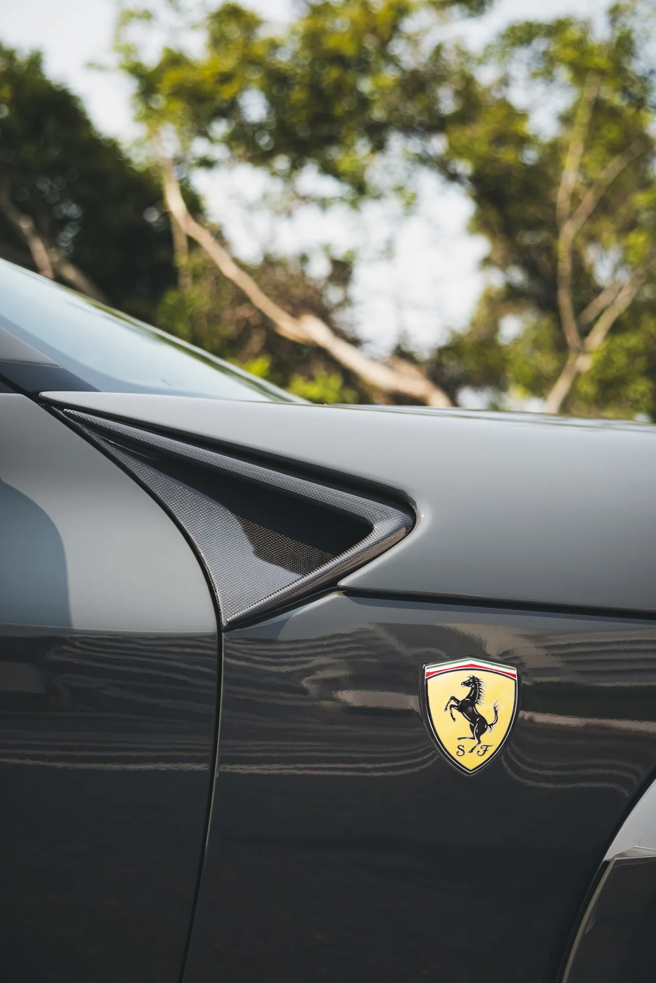 Brixton Forged R11-RS on Ferrari Purosangue, photo 12