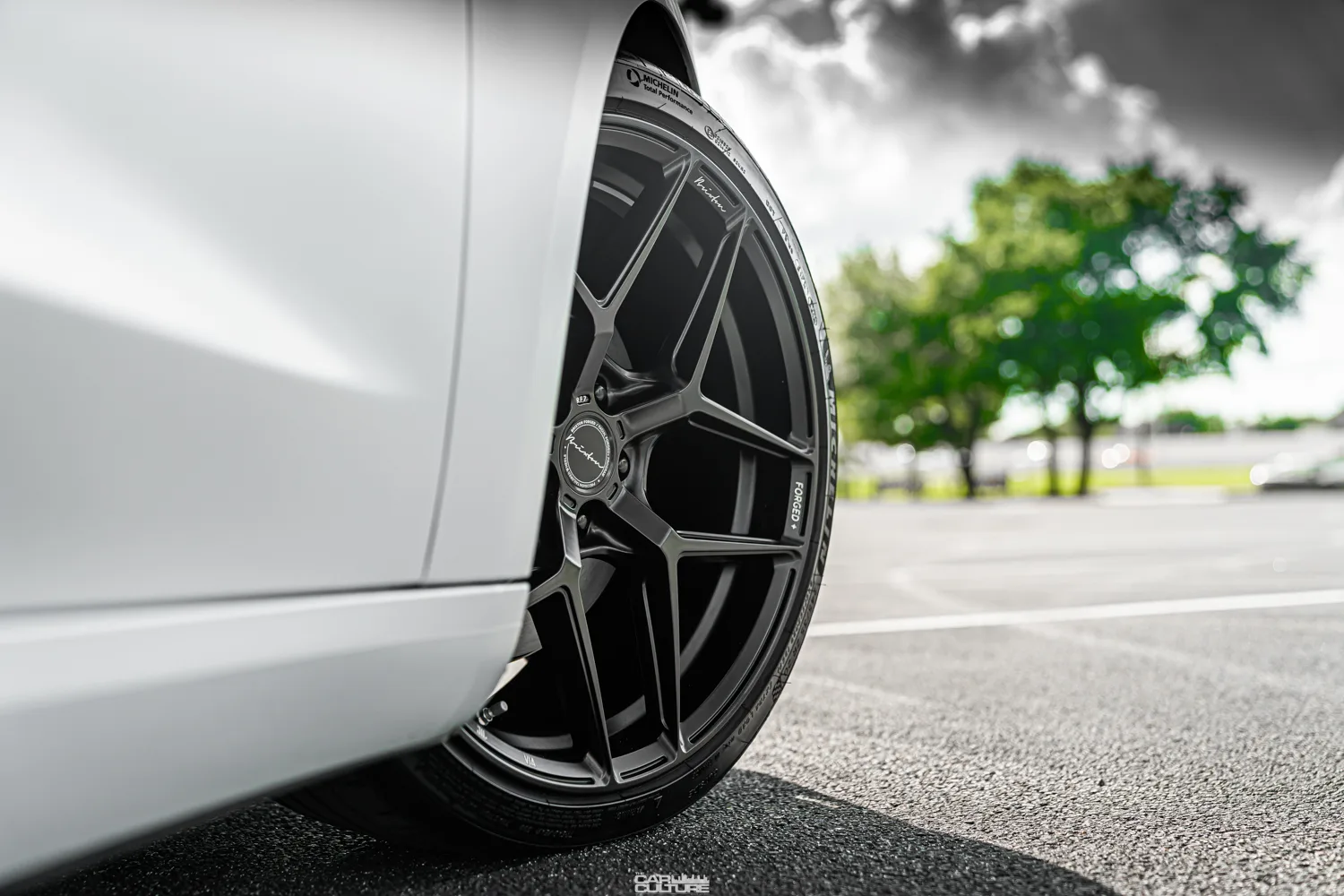 Brixton Forged RF7 on Tesla Model 3 Original (2017-2023), photo 10