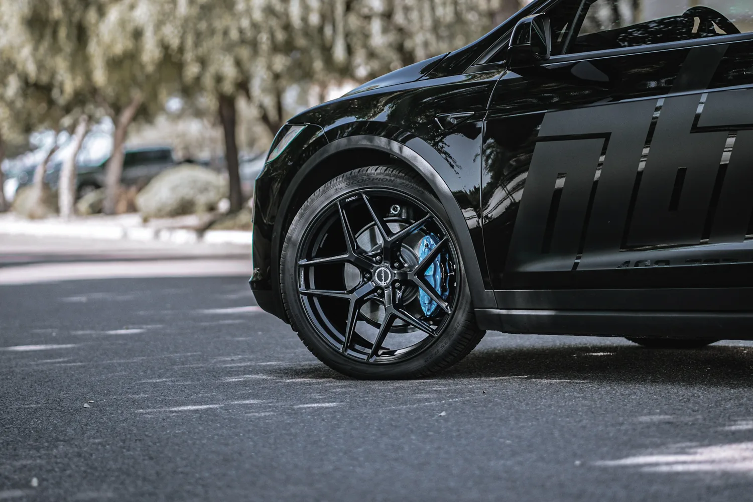 Brixton Forged RF7 on Tesla Model X Original (2015-2021), photo 8