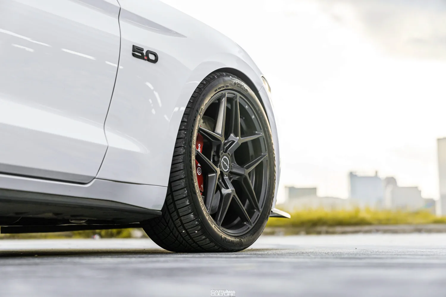 Brixton Forged RF7 on Ford Mustang S550.1