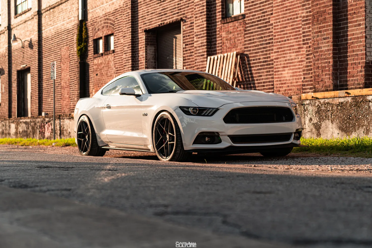 Brixton Forged RF7 on Ford Mustang S550.1, photo 2