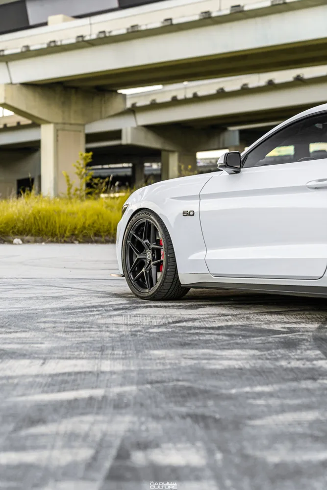 Brixton Forged RF7 on Ford Mustang S550.1, photo 10
