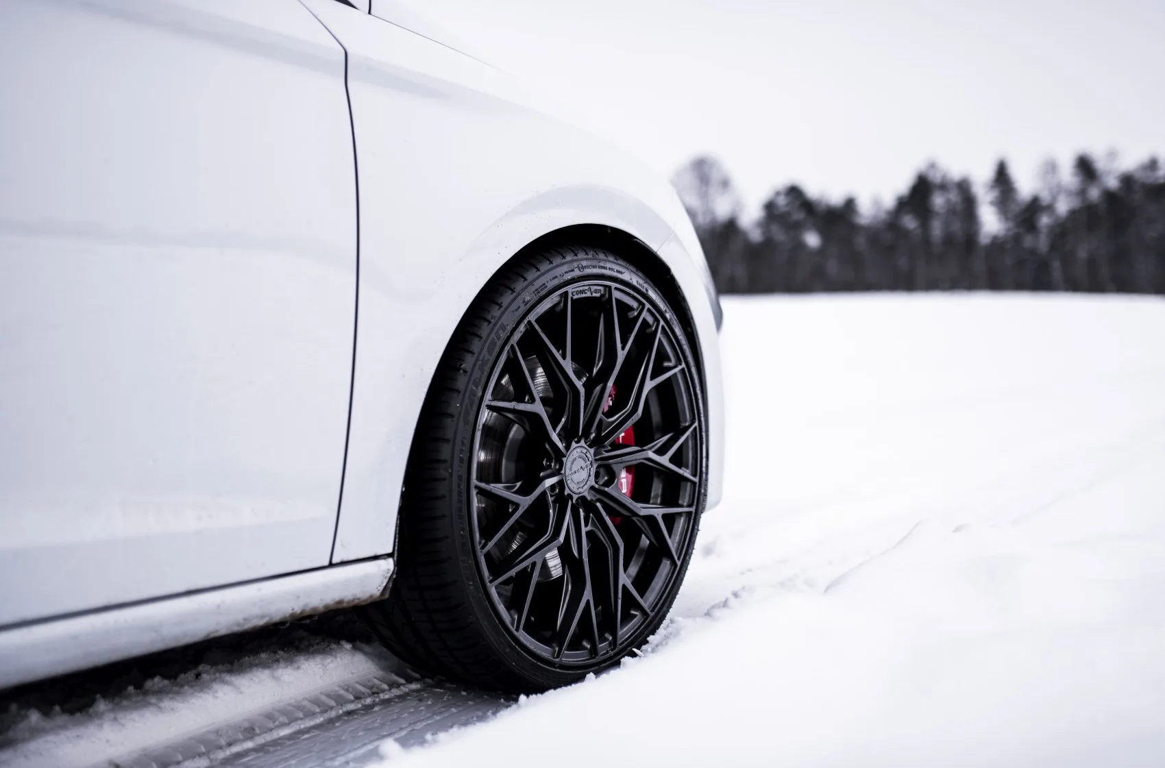 Concaver CVR1 on Seat Leon Cupra 3rd gen (5F), photo 6