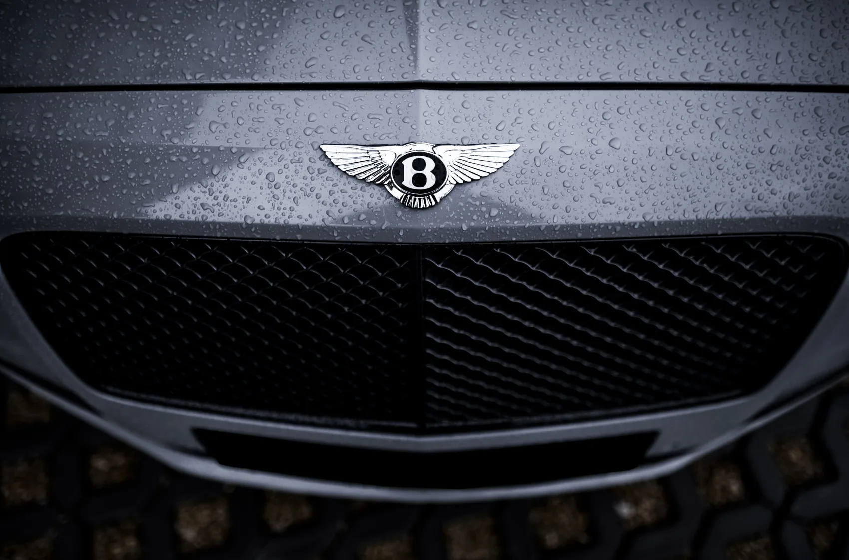 Concaver CVR1 on Bentley Flying Spur 2nd gen.1, photo 8