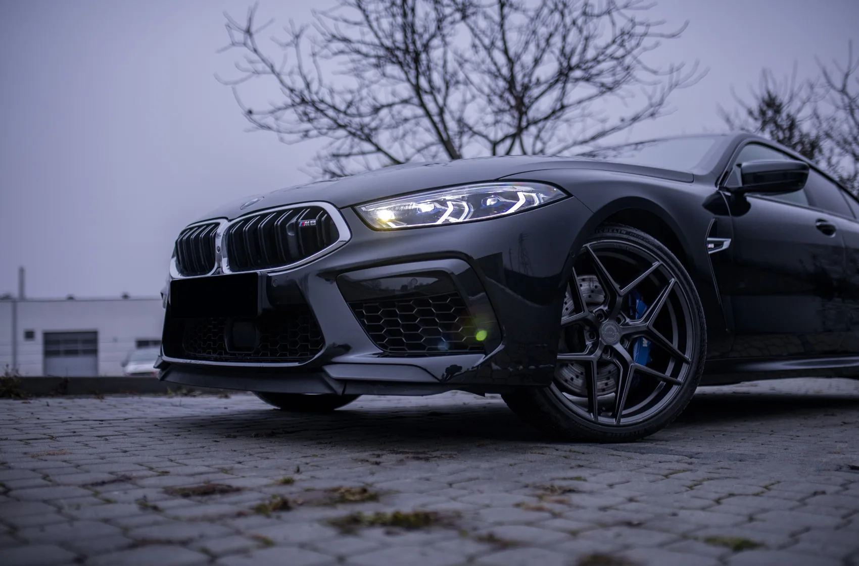 Concaver CVR2 on BMW 8 Series G15.1, photo 5