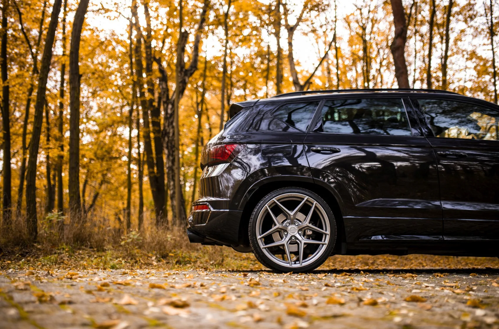 Concaver CVR2 on Cupra Ateca 1st gen, photo 9