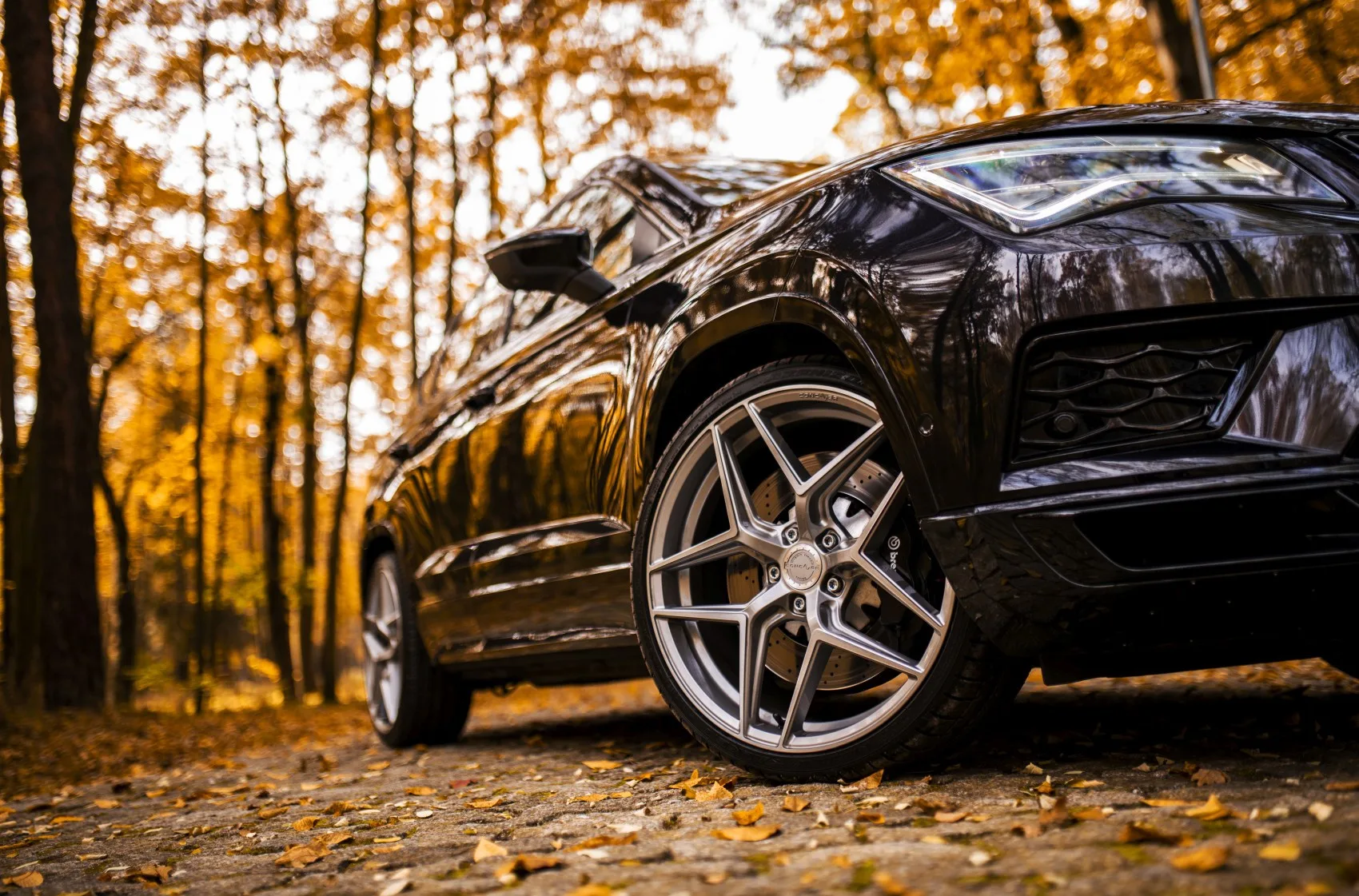Concaver CVR2 on Cupra Ateca 1st gen, photo 3