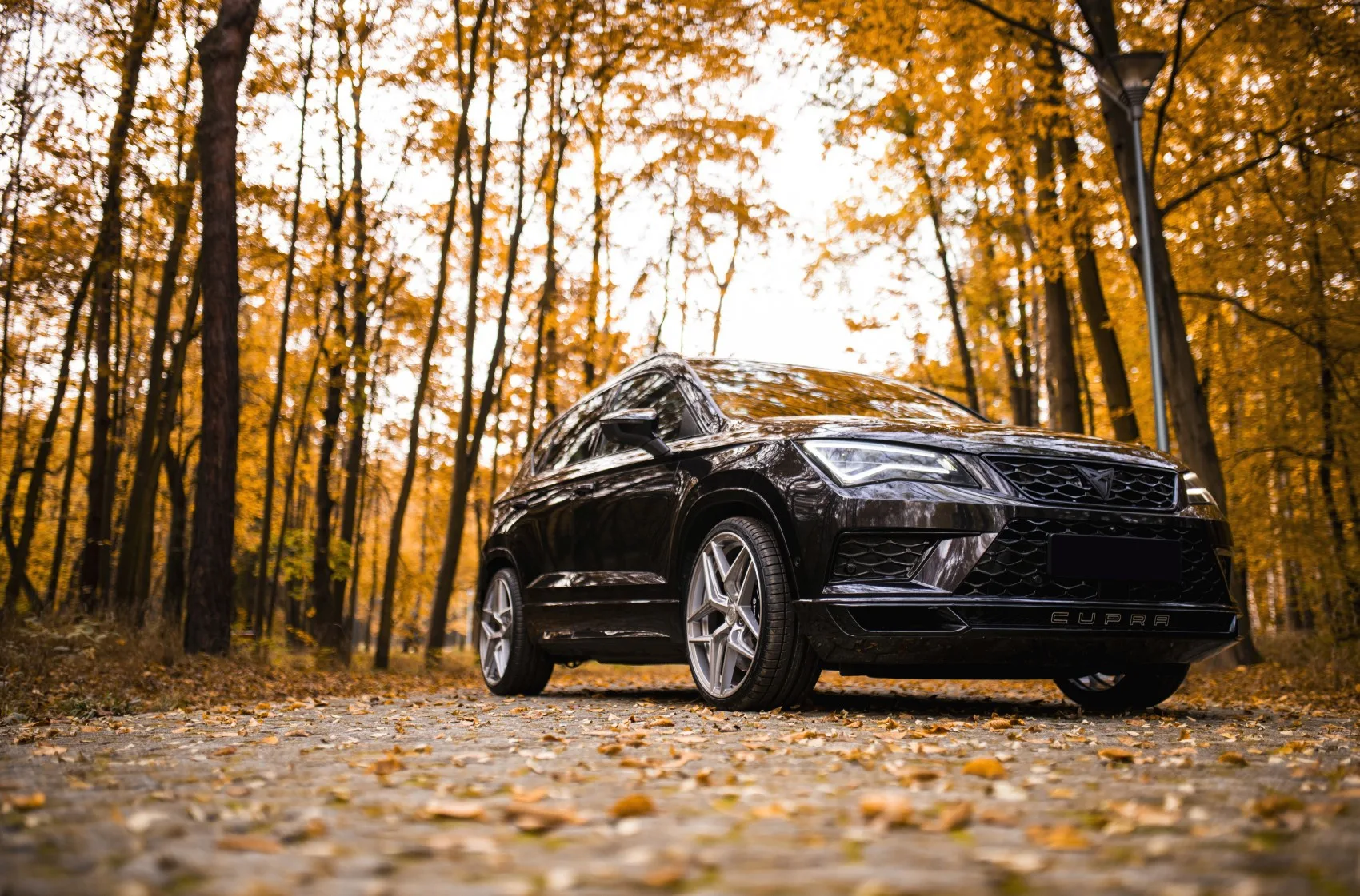 Concaver CVR2 on Cupra Ateca 1st gen, photo 5