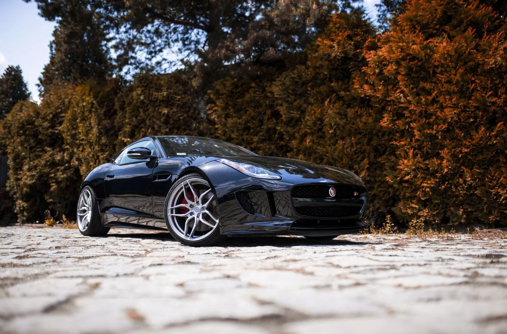 Concaver CVR3 on Jaguar F-TYPE X152.1, photo 6