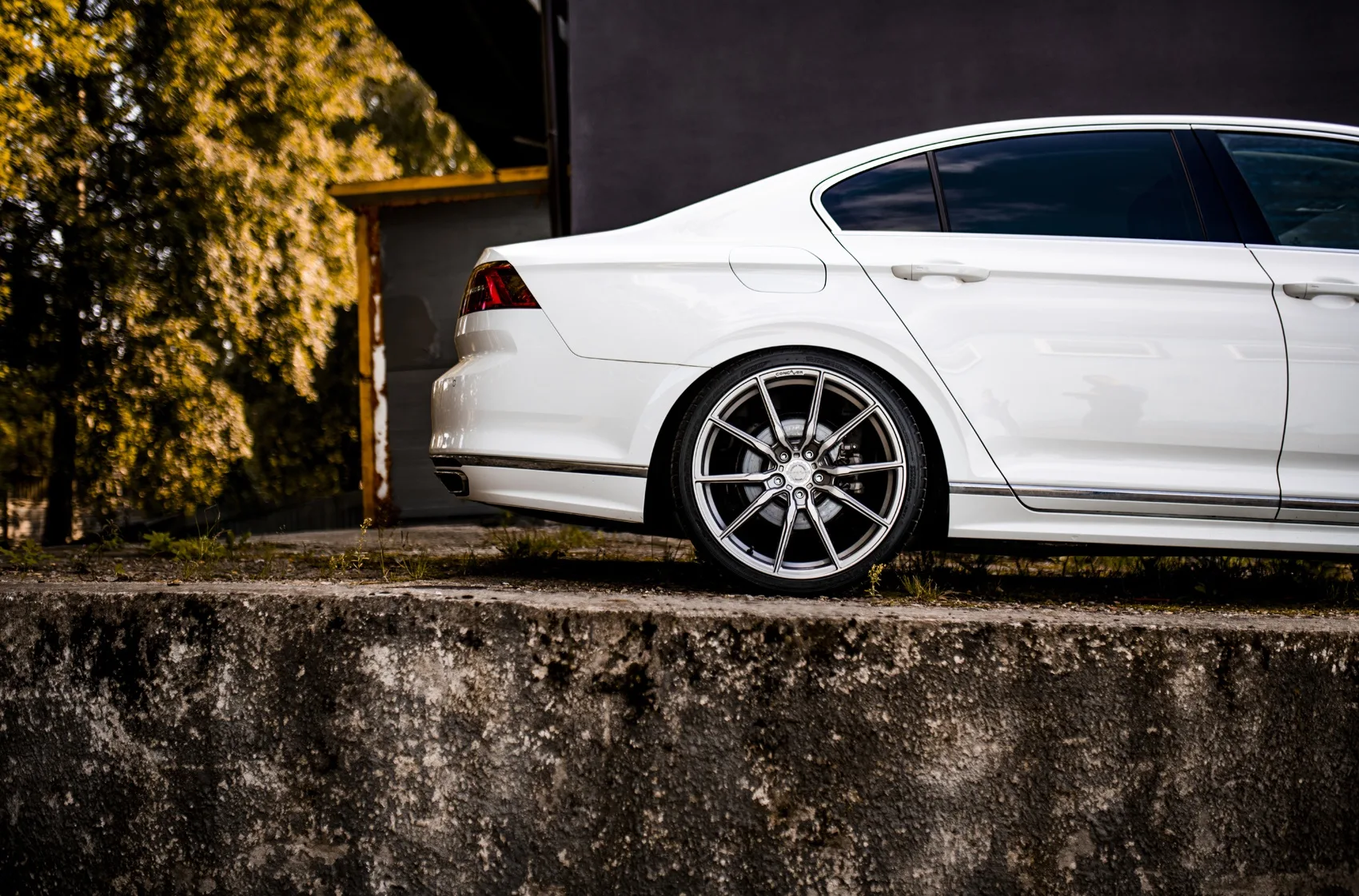 Concaver CVR4 on Volkswagen Passat B8 (Typ 3G).1, photo 4