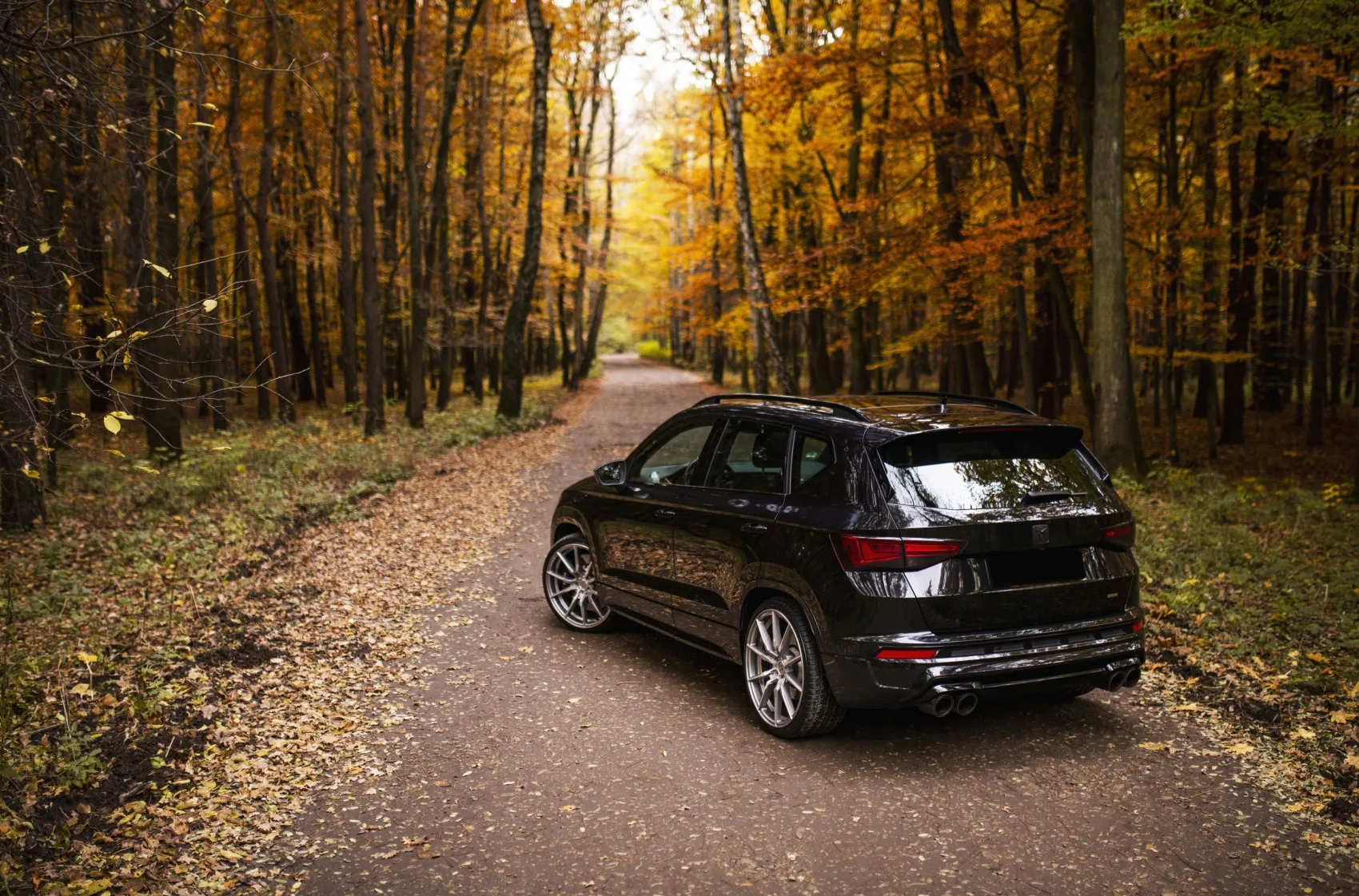 Concaver CVR4 on Cupra Ateca 1st gen, photo 4
