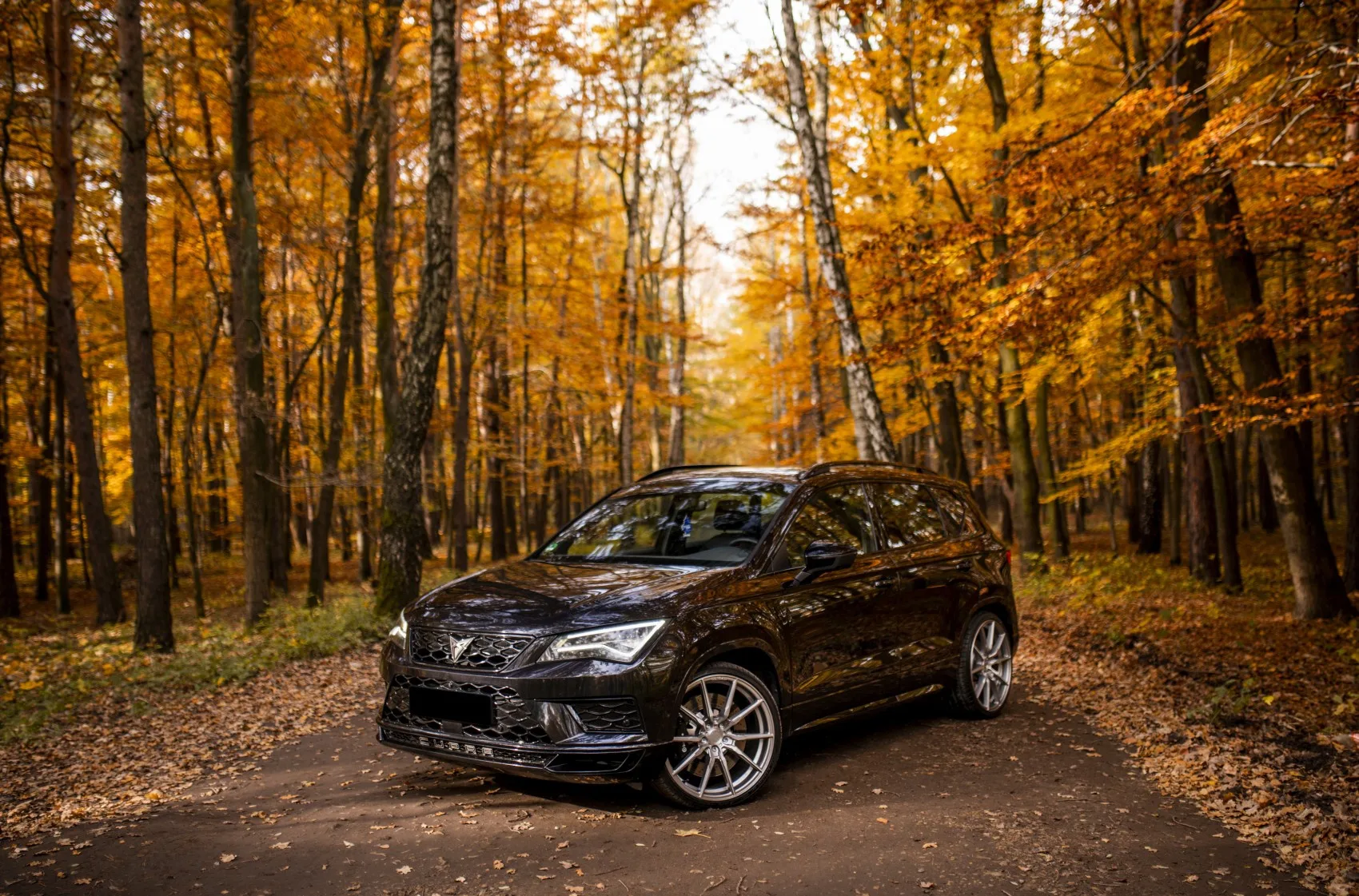 Concaver CVR4 on Cupra Ateca 1st gen, photo 9
