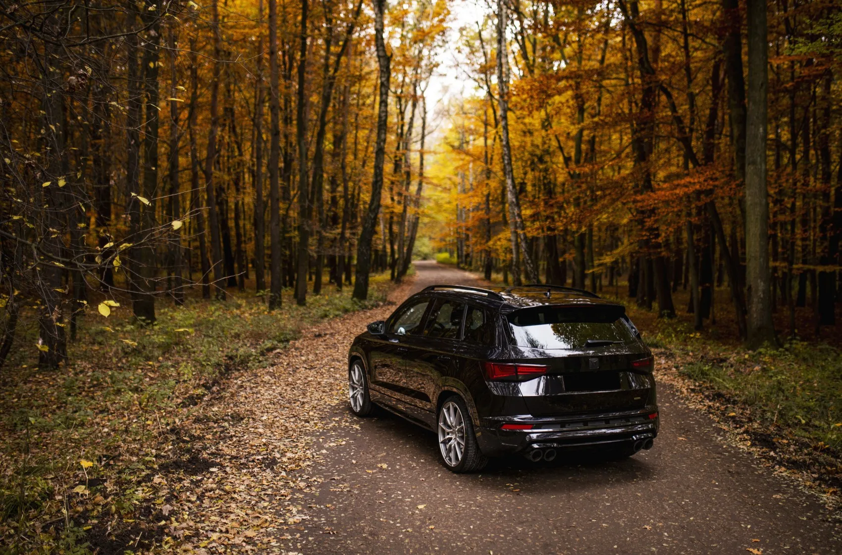 Concaver CVR4 on Cupra Ateca 1st gen, photo 3