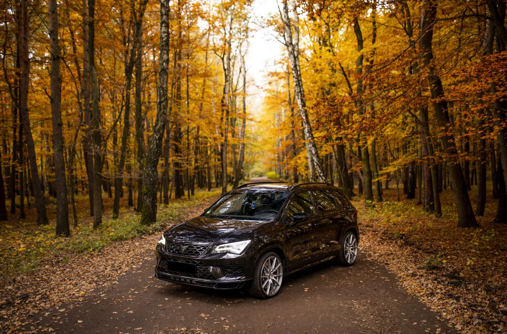 Concaver CVR4 on Cupra Ateca 1st gen, photo 8