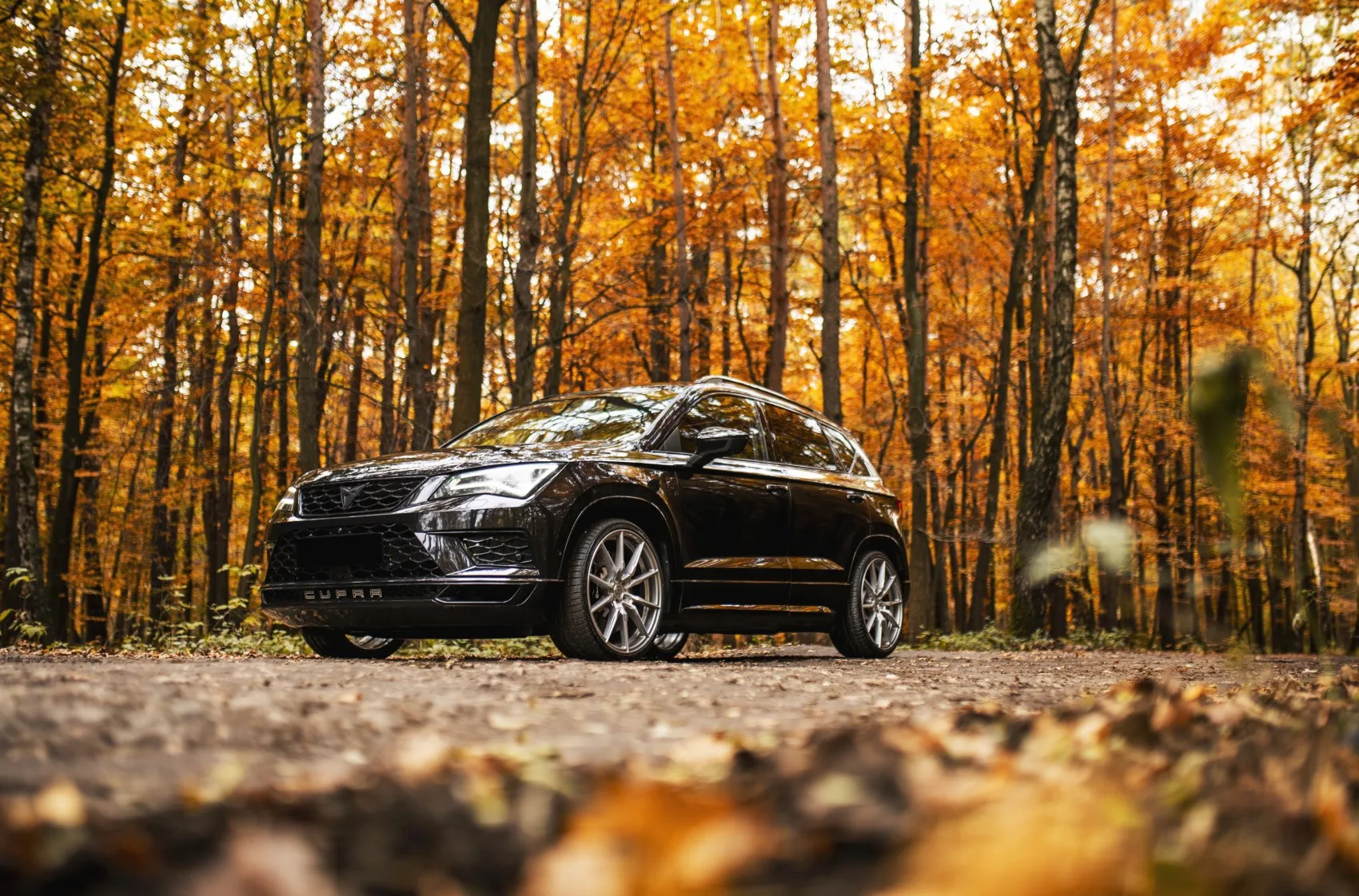 Concaver CVR4 on Cupra Ateca 1st gen, photo 2