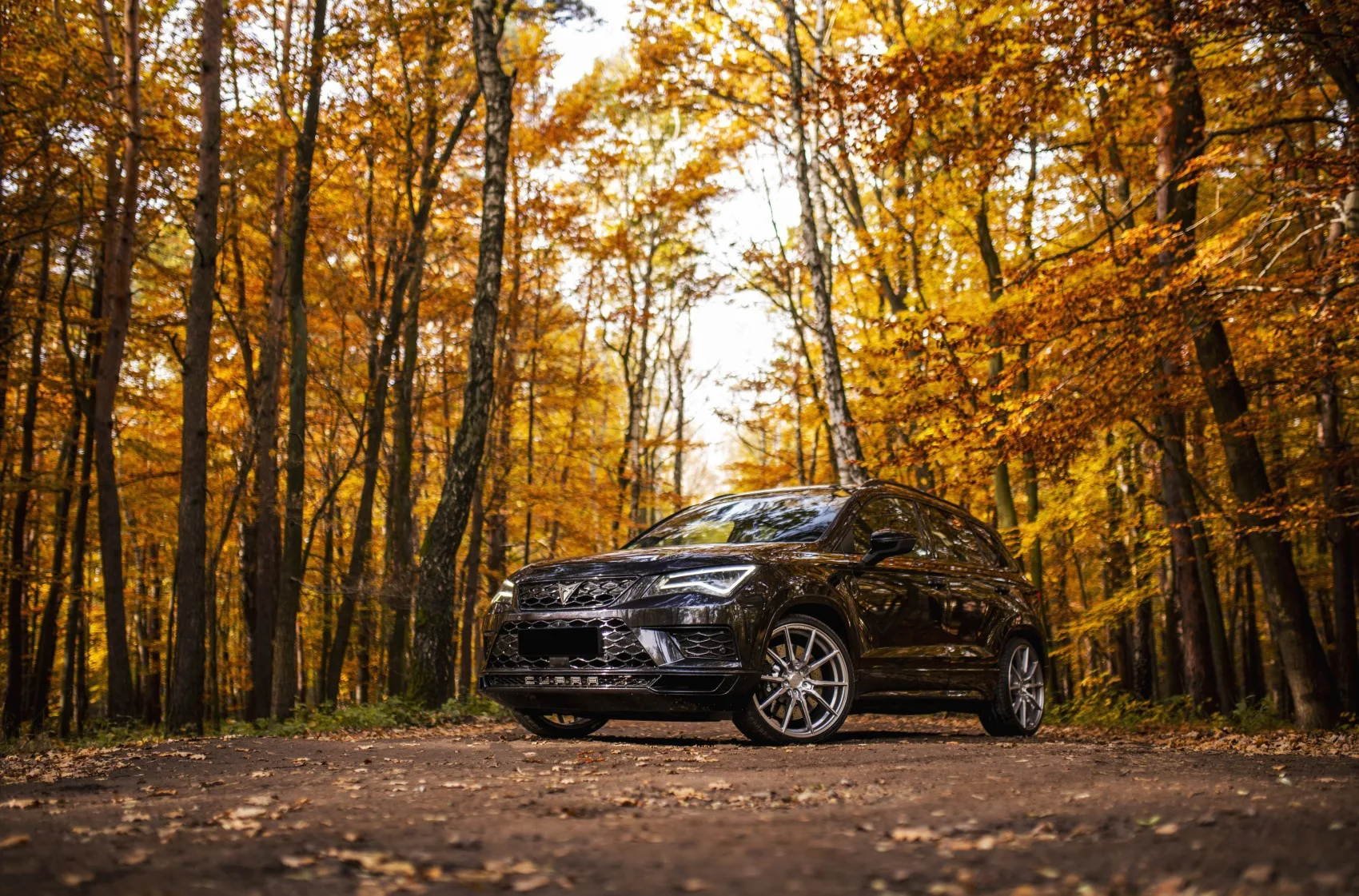 Concaver CVR4 on Cupra Ateca 1st gen, photo 10