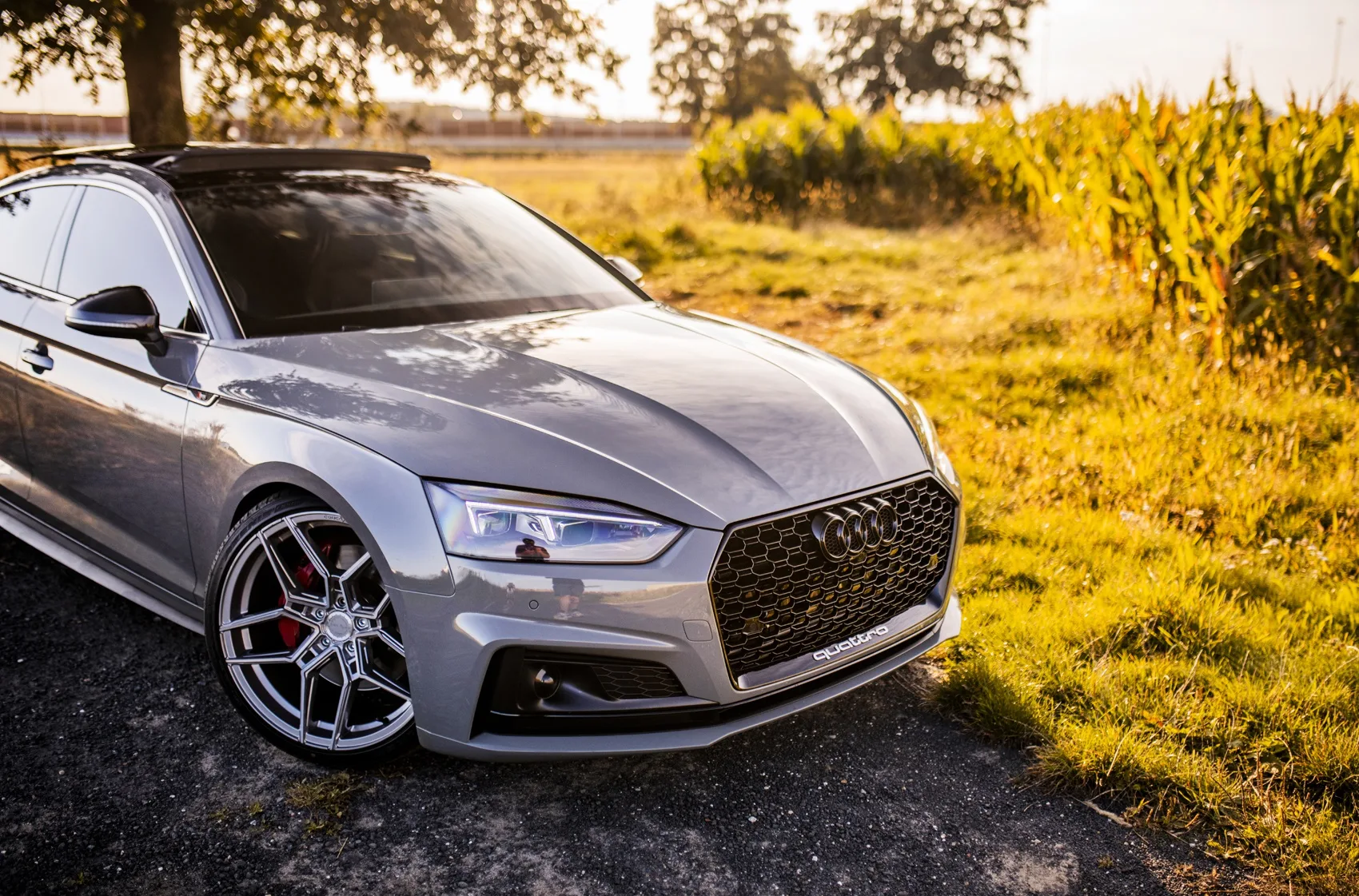 Concaver CVR5 on Audi RS 5 F5.1, photo 4
