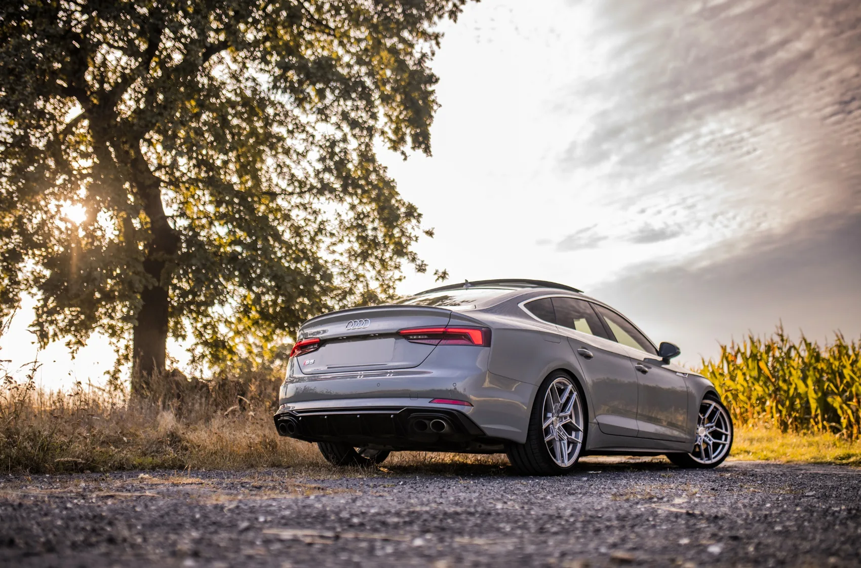 Concaver CVR5 on Audi RS 5 F5.1, photo 10
