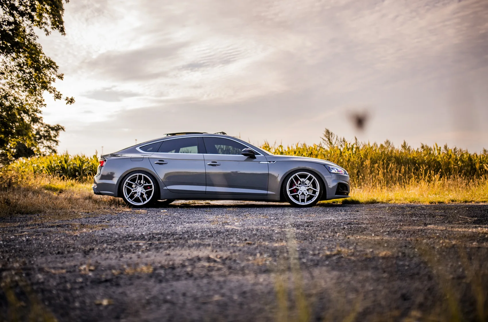 Concaver CVR5 on Audi RS 5 F5.1, photo 2