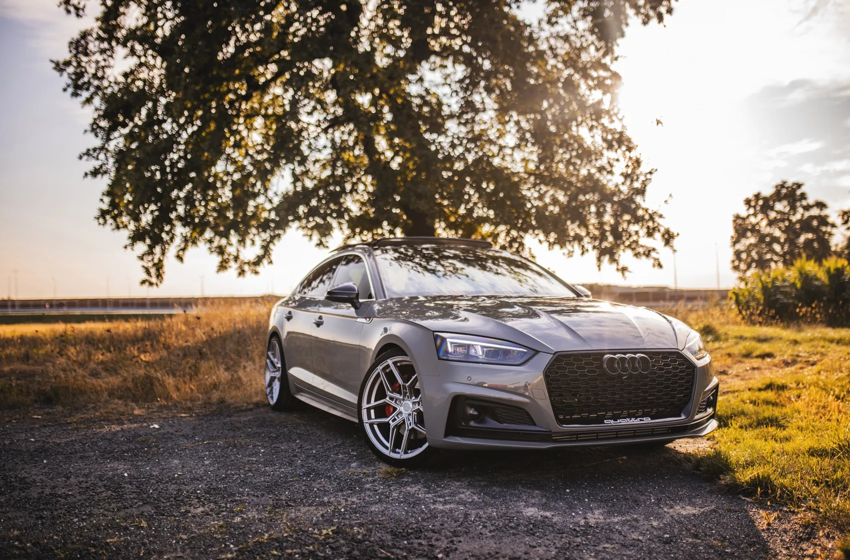 Concaver CVR5 on Audi RS 5 F5.1, photo 6