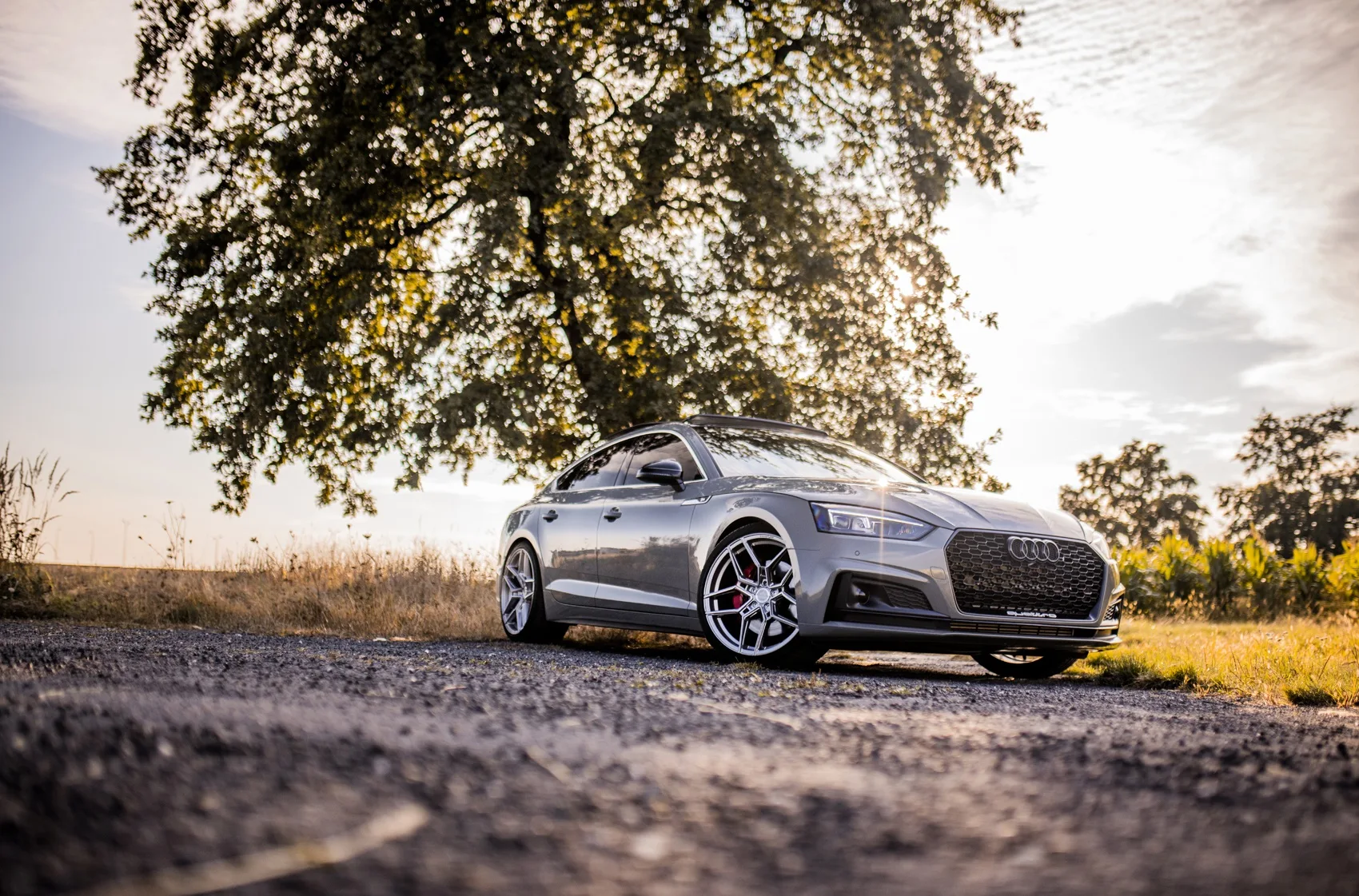 Concaver CVR5 on Audi RS 5 F5.1, photo 3