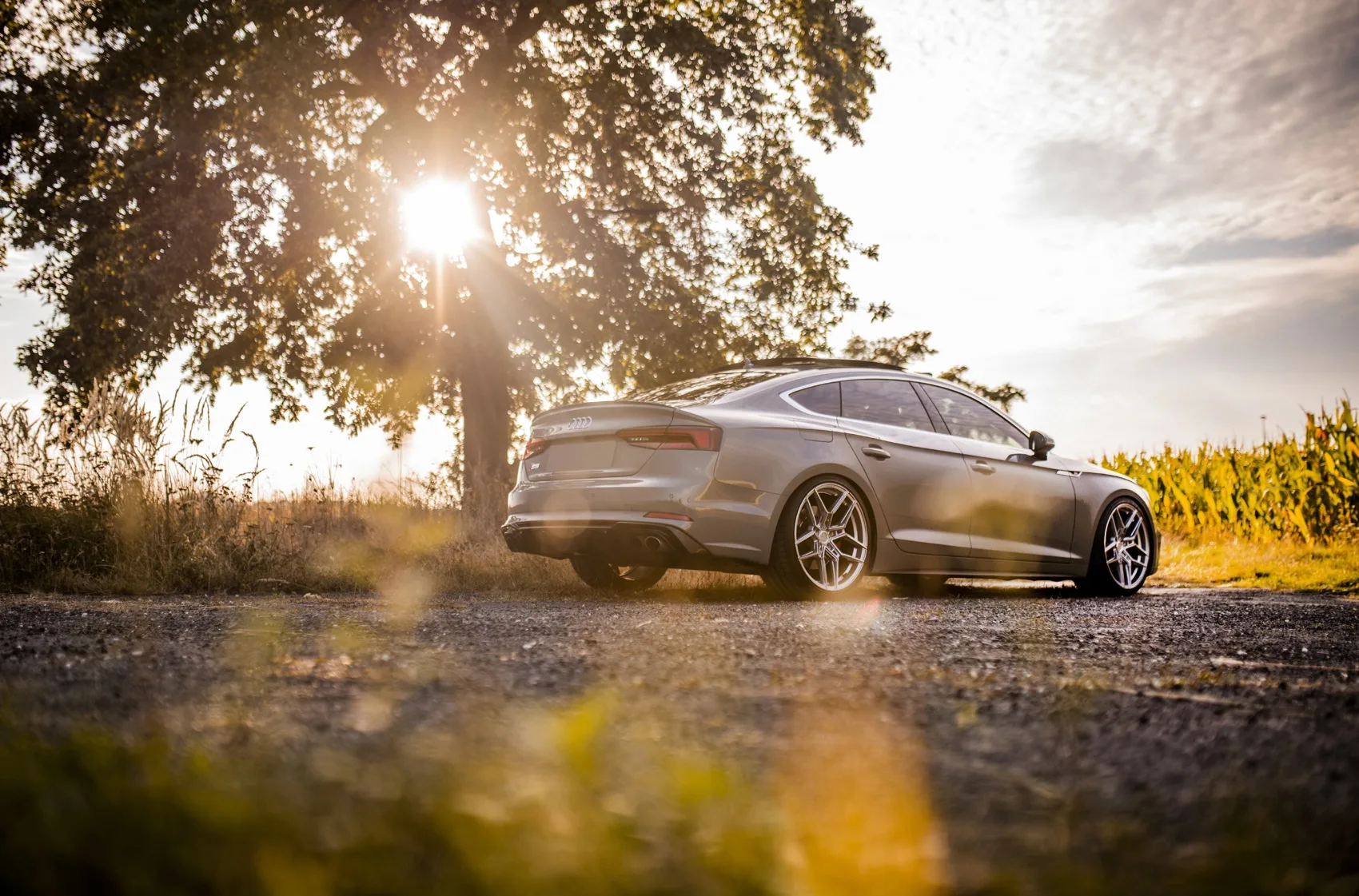 Concaver CVR5 on Audi RS 5 F5.1, photo 5