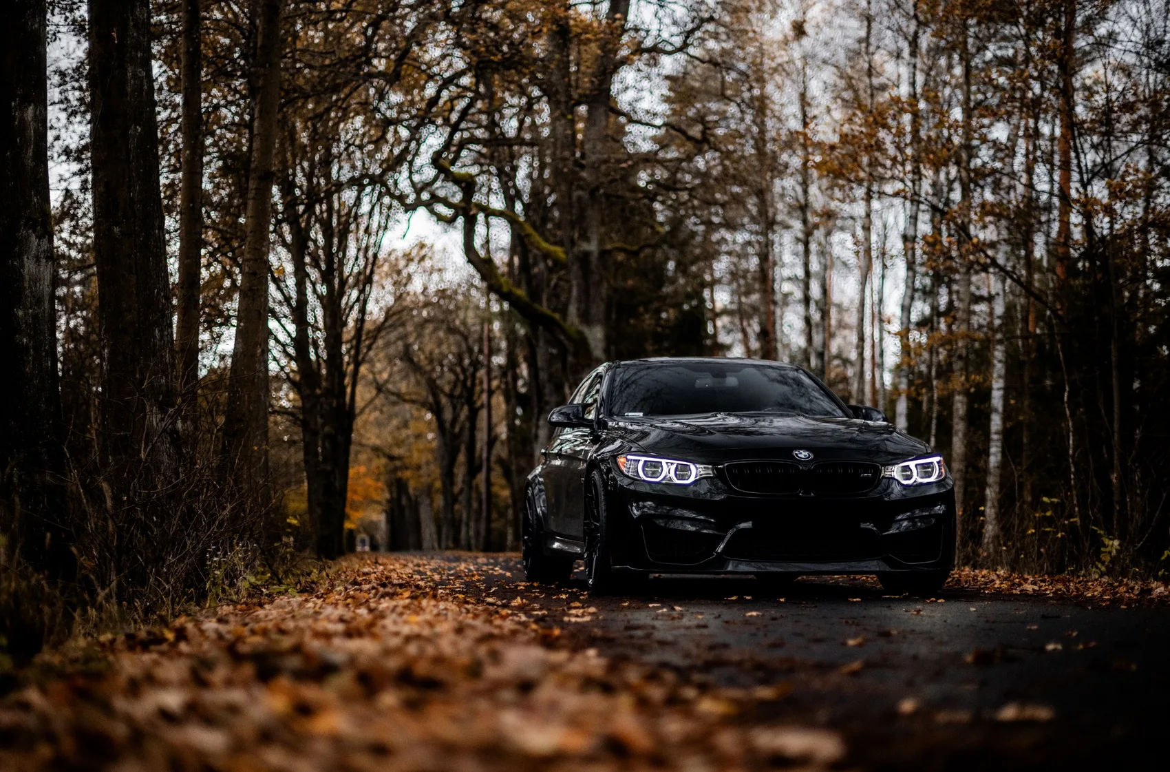 Concaver CVR6 on BMW M3 F80.1, photo 8