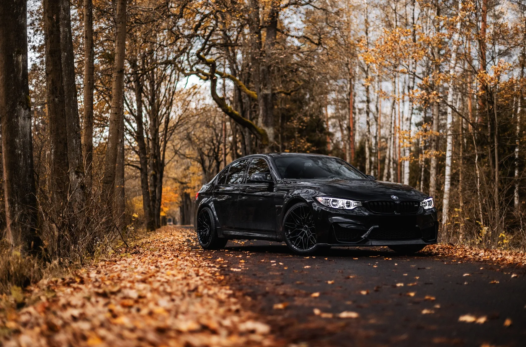 Concaver CVR6 on BMW M3 F80.1, photo 2