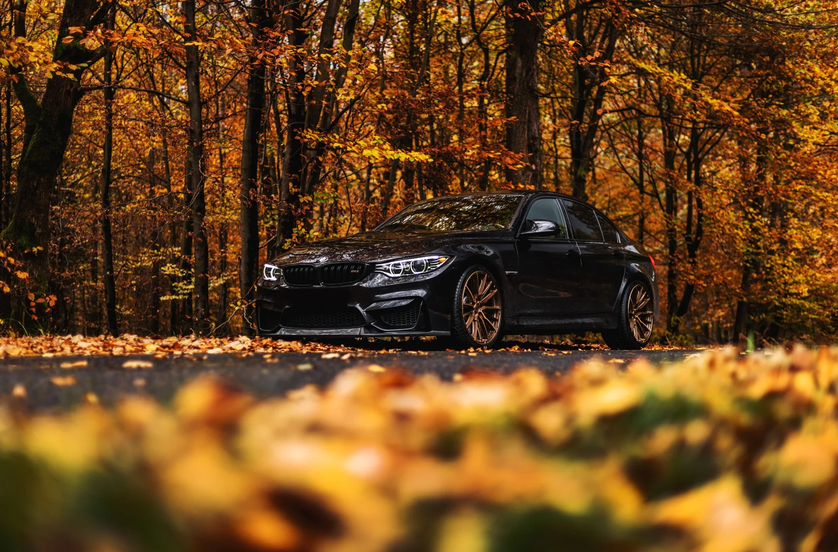Concaver CVR7 on BMW M3 F80.1, photo 2