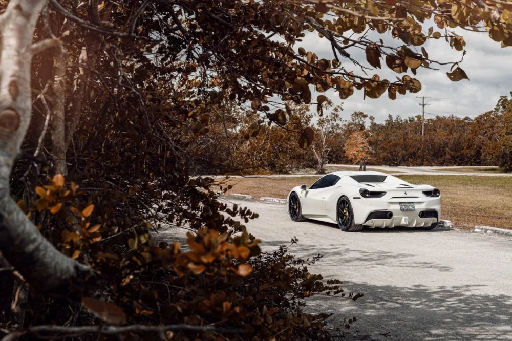 Klassen iD CS56S on Ferrari 488, photo 8