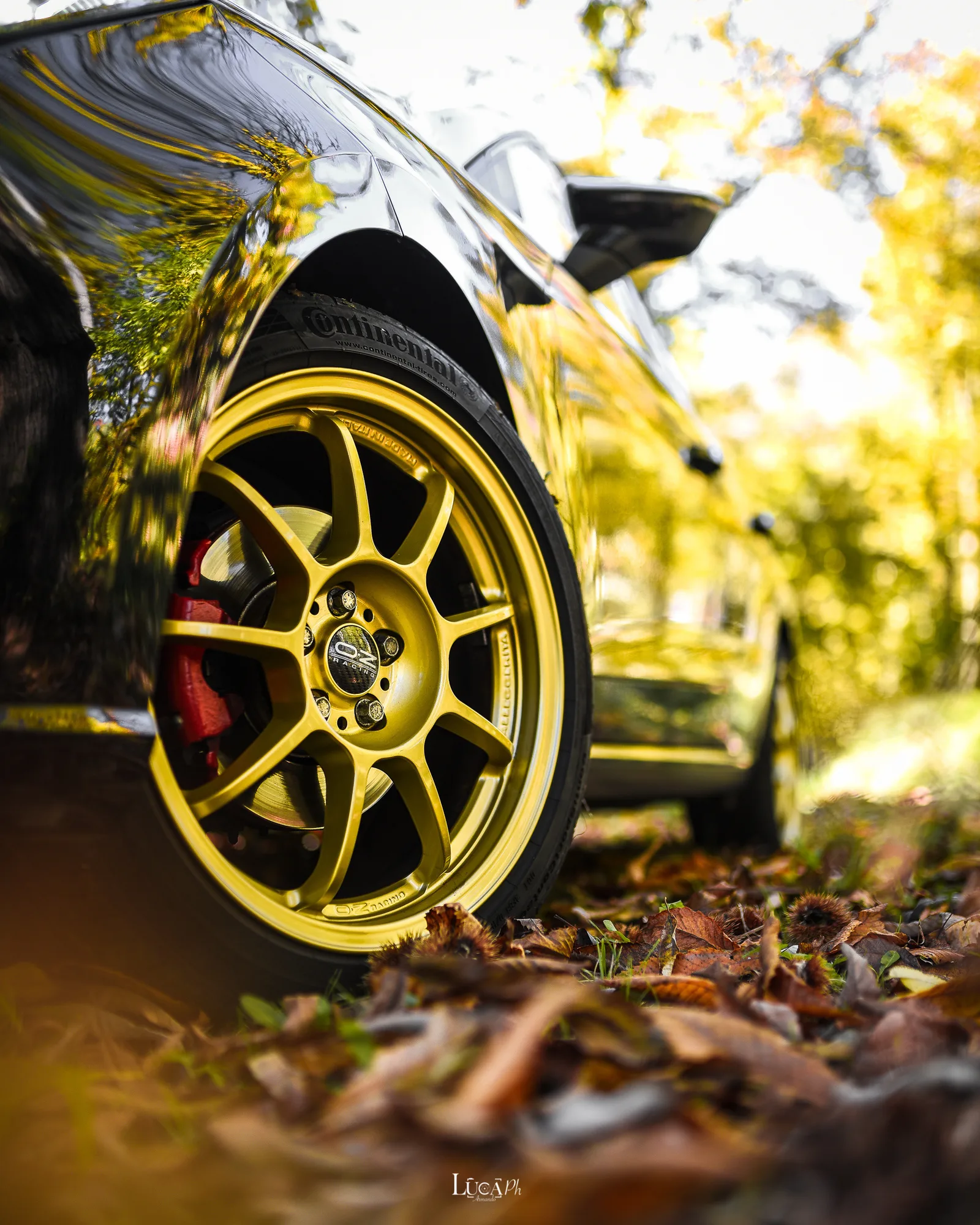 OZ Racing Alleggerita HLT on Seat Ibiza 3rd gen (6L), photo 2