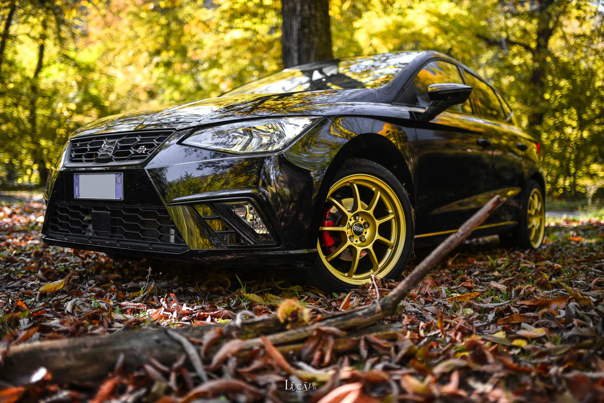 OZ Racing Alleggerita HLT on Seat Ibiza 3rd gen (6L)