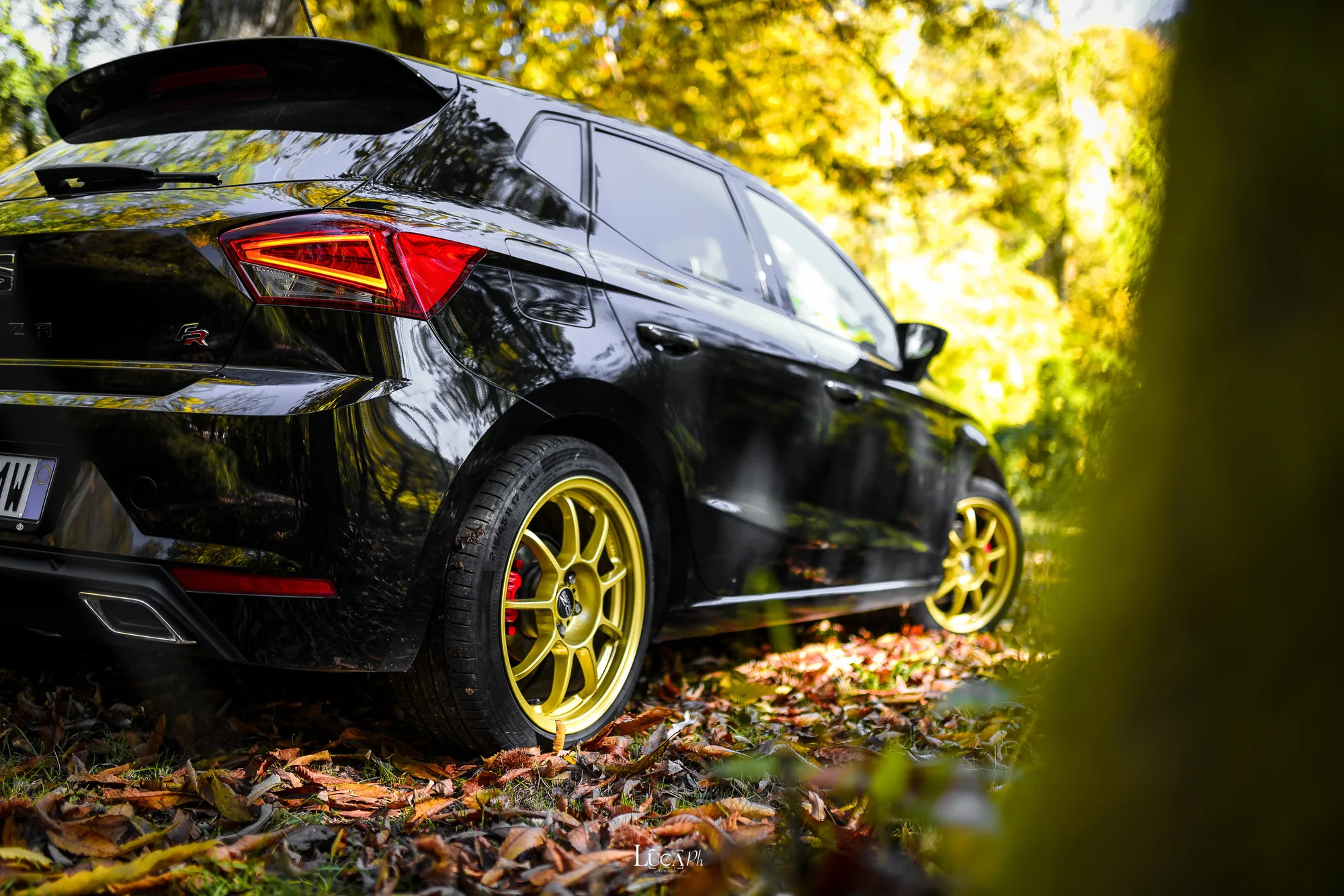 OZ Racing Alleggerita HLT on Seat Ibiza 3rd gen (6L), photo 3