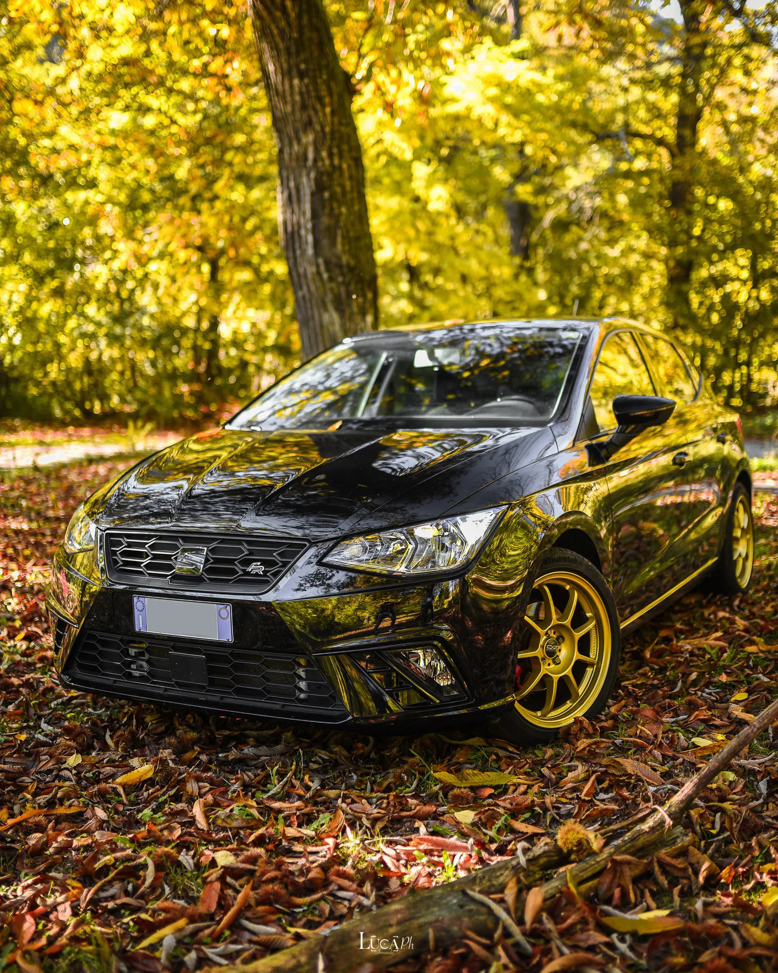 OZ Racing Alleggerita HLT on Seat Ibiza 3rd gen (6L), photo 7