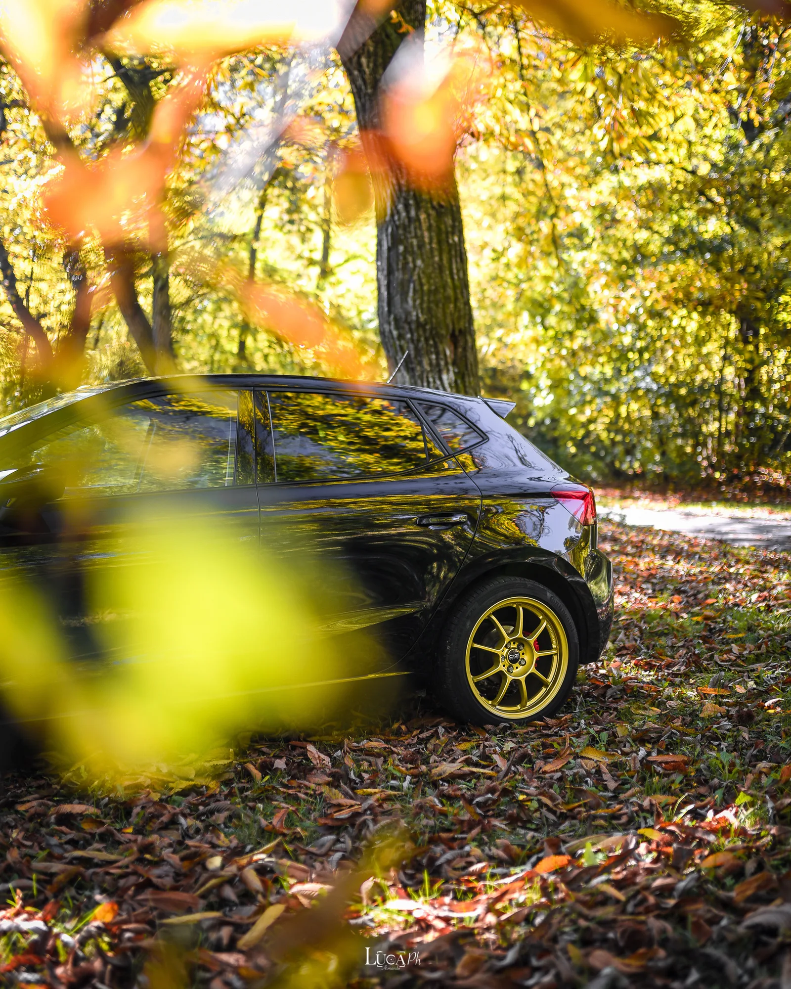 OZ Racing Alleggerita HLT on Seat Ibiza 3rd gen (6L), photo 6