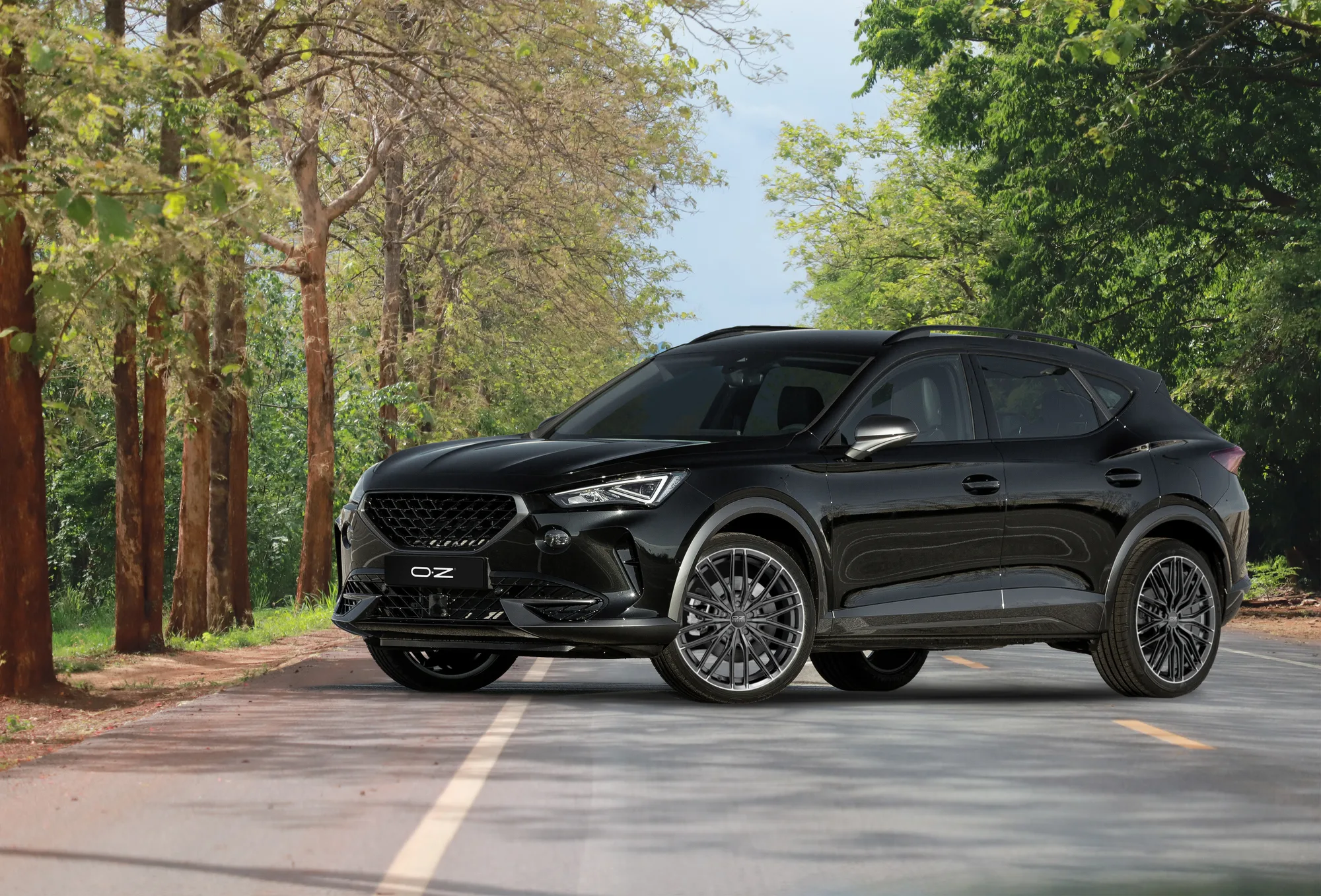 OZ Racing GranTurismo HLT on Cupra Formentor 1st gen (KM)