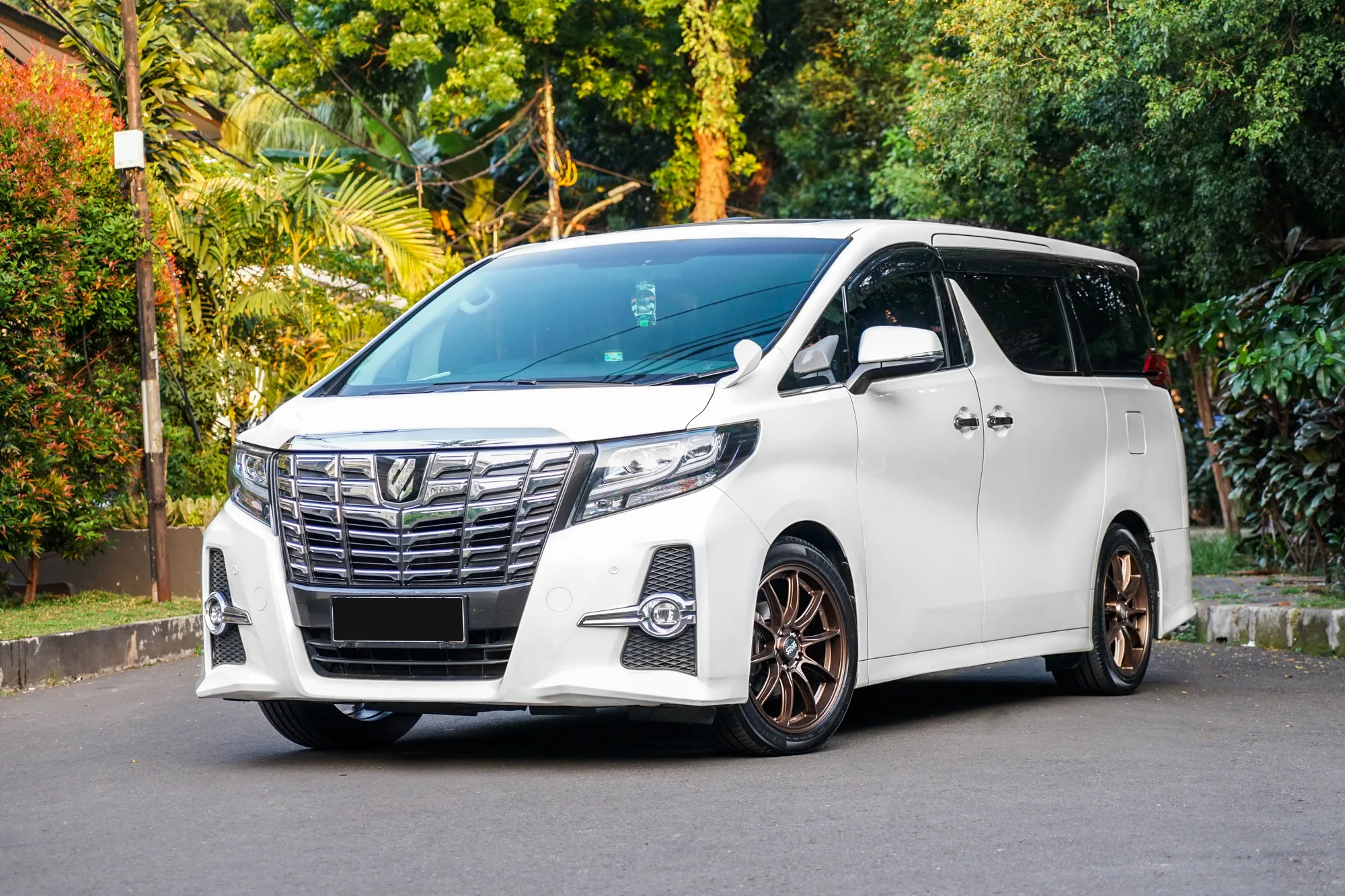 OZ Racing HyperGT HLT on Toyota Alphard AH30.1, photo 5