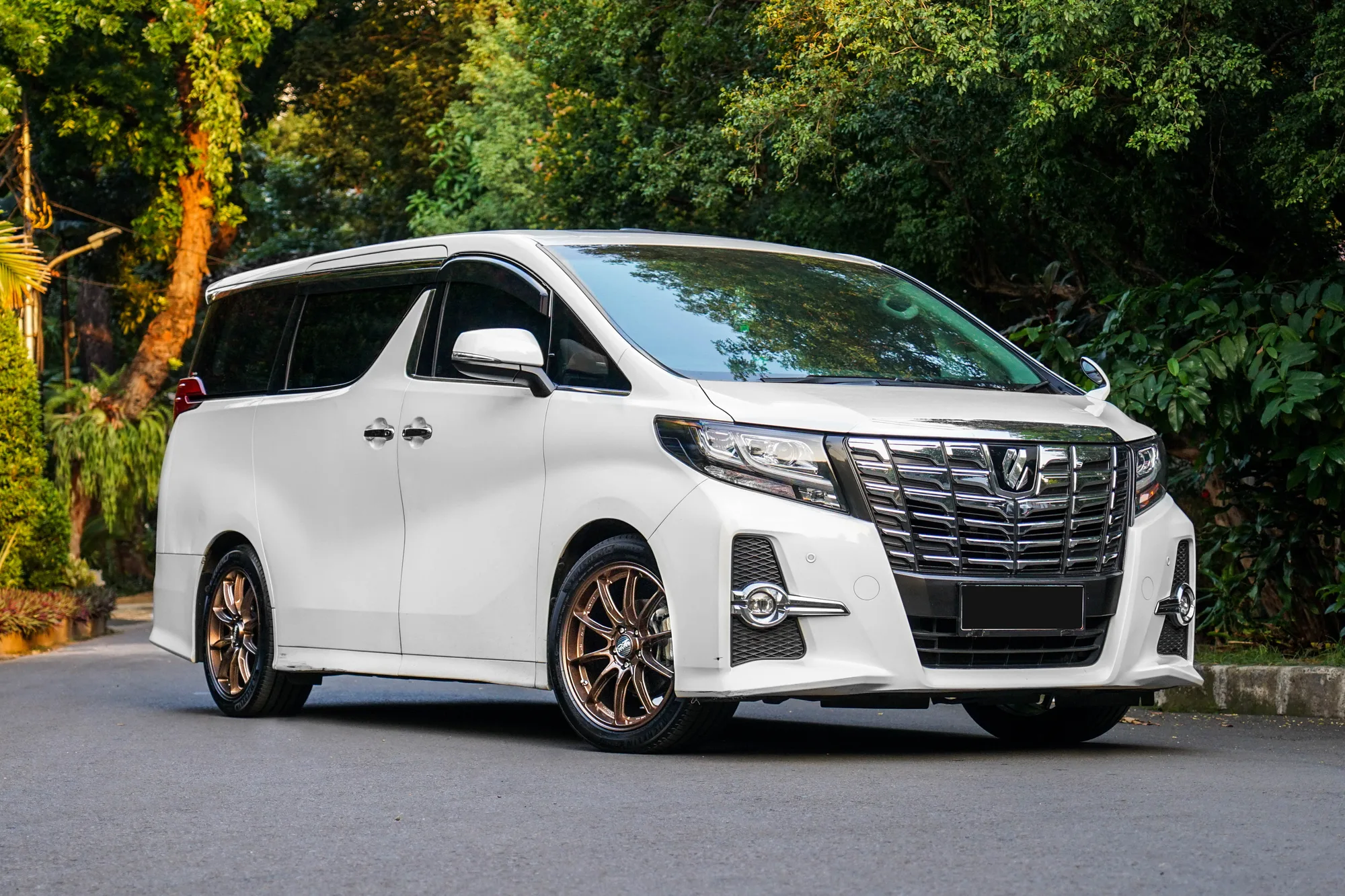 OZ Racing HyperGT HLT on Toyota Alphard AH30.1, photo 9