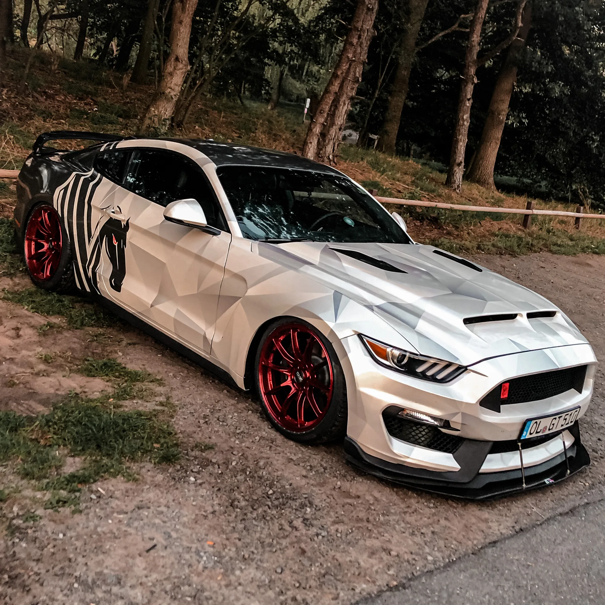 OZ Racing HyperGT HLT on Ford Mustang S550.1, photo 4
